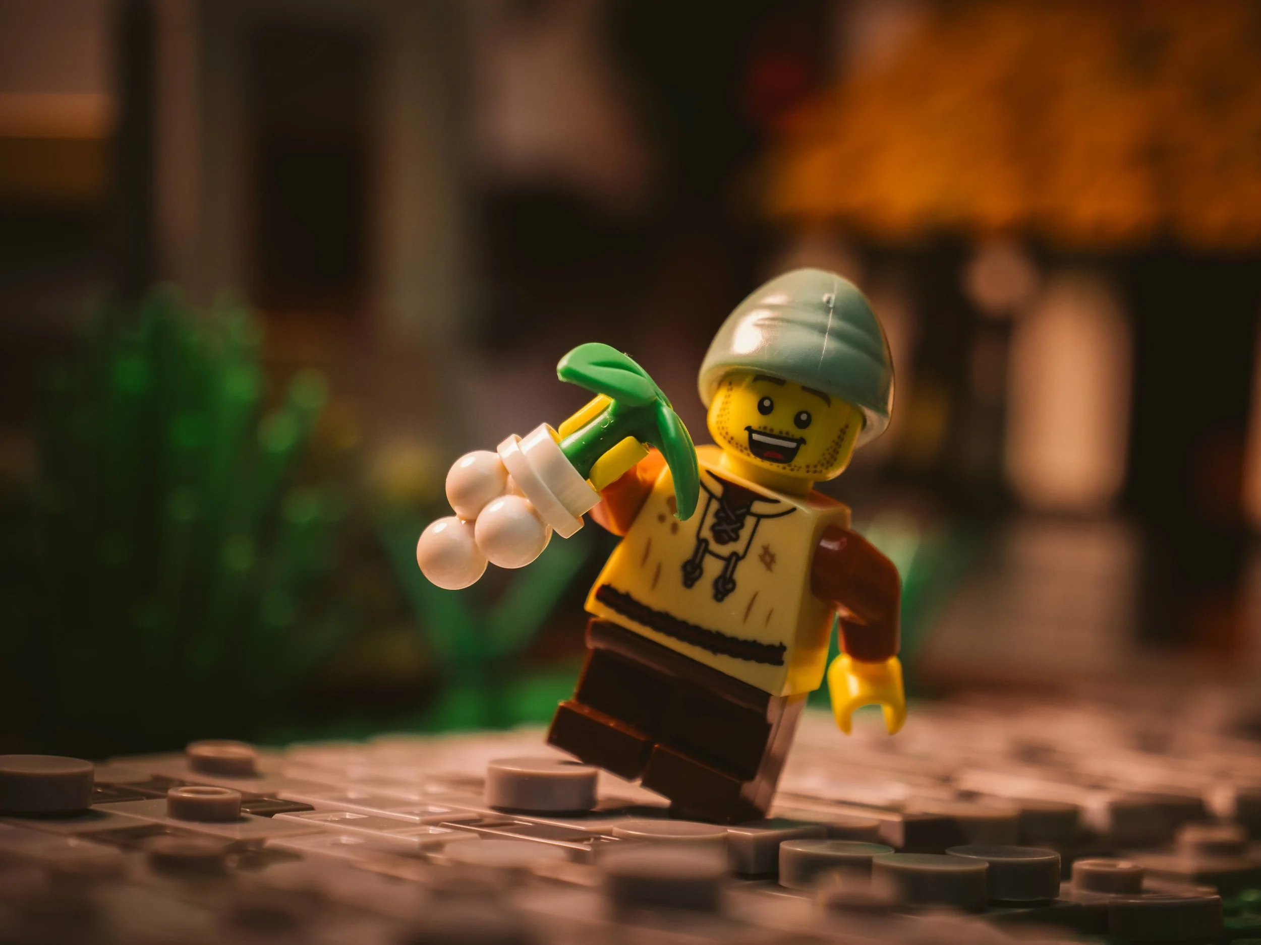 P2588880-1.jpeg