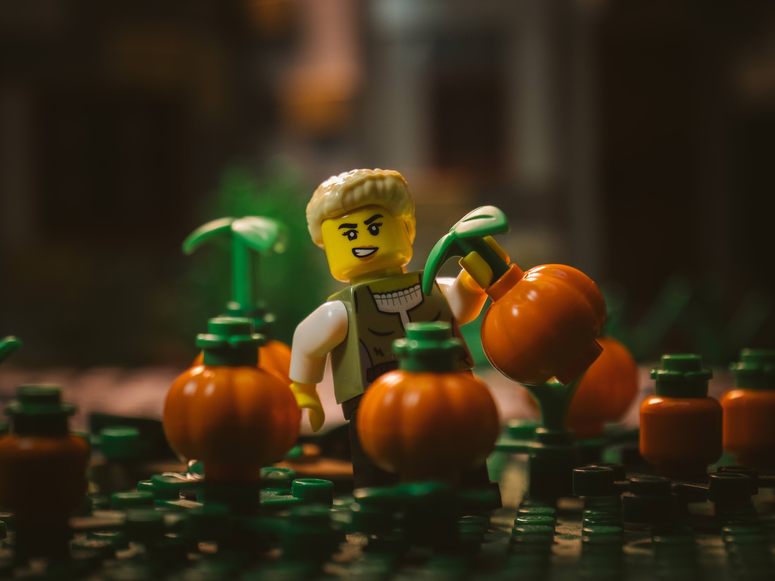 P2588874-1.jpeg