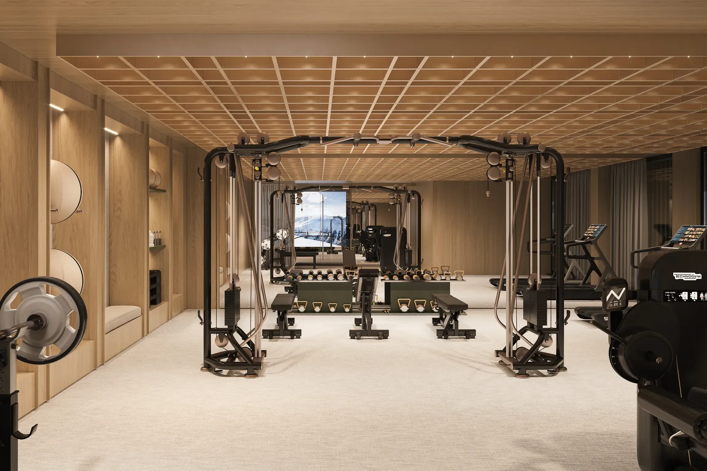 TS_1132_VP_10_Gym_3d448cd397.webp