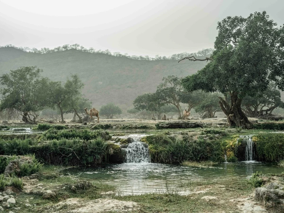 Hawana-Salalah-Oman-1.jpg