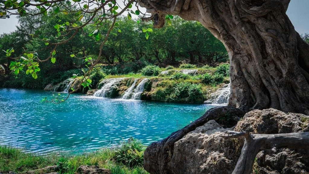 Wadis.jpg