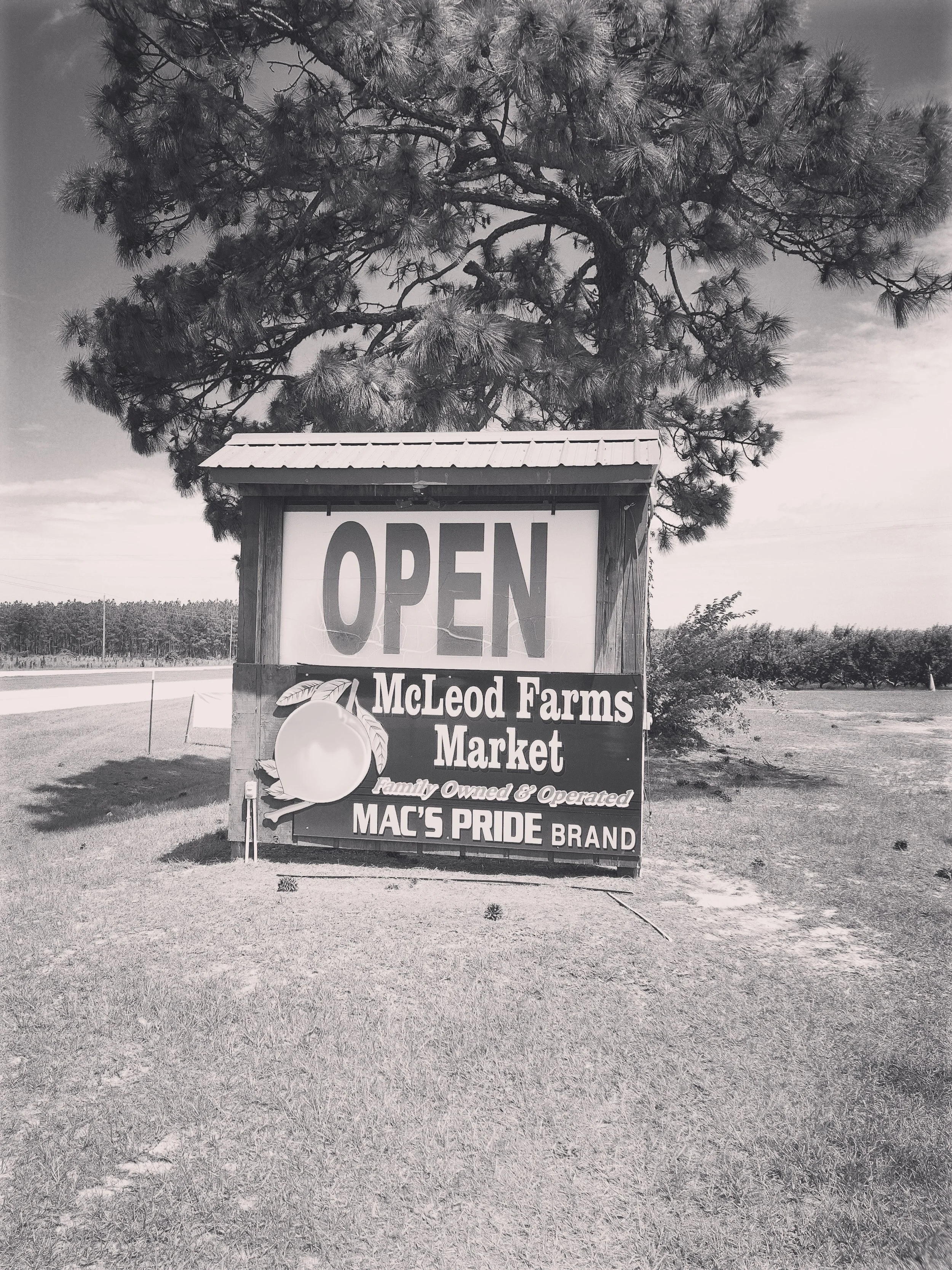McLeod Farms