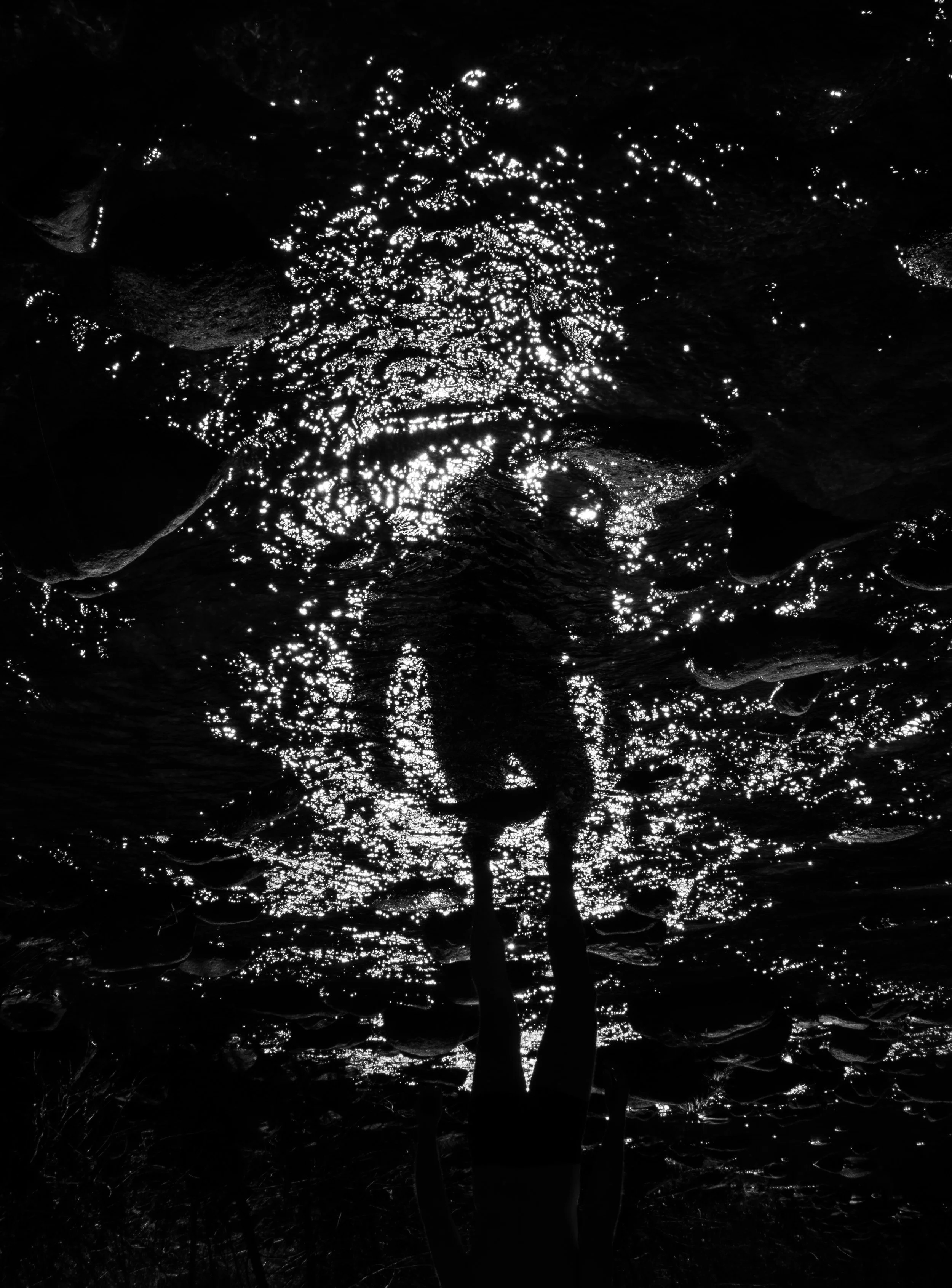 untitled-_DSF9877.jpg