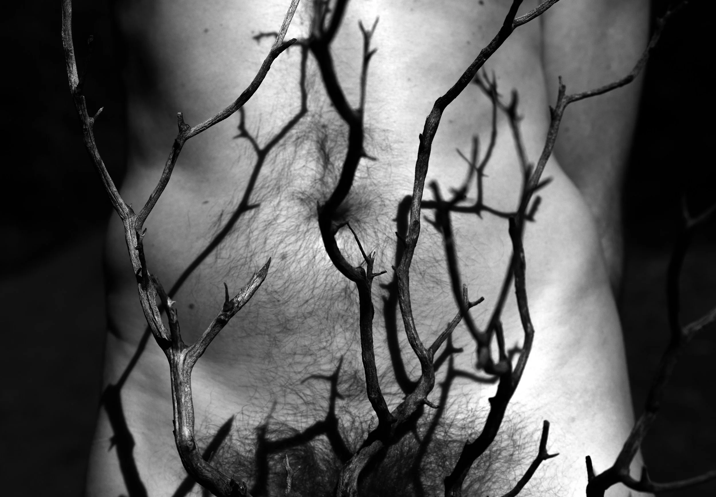 untitled-_DSF0567.jpg