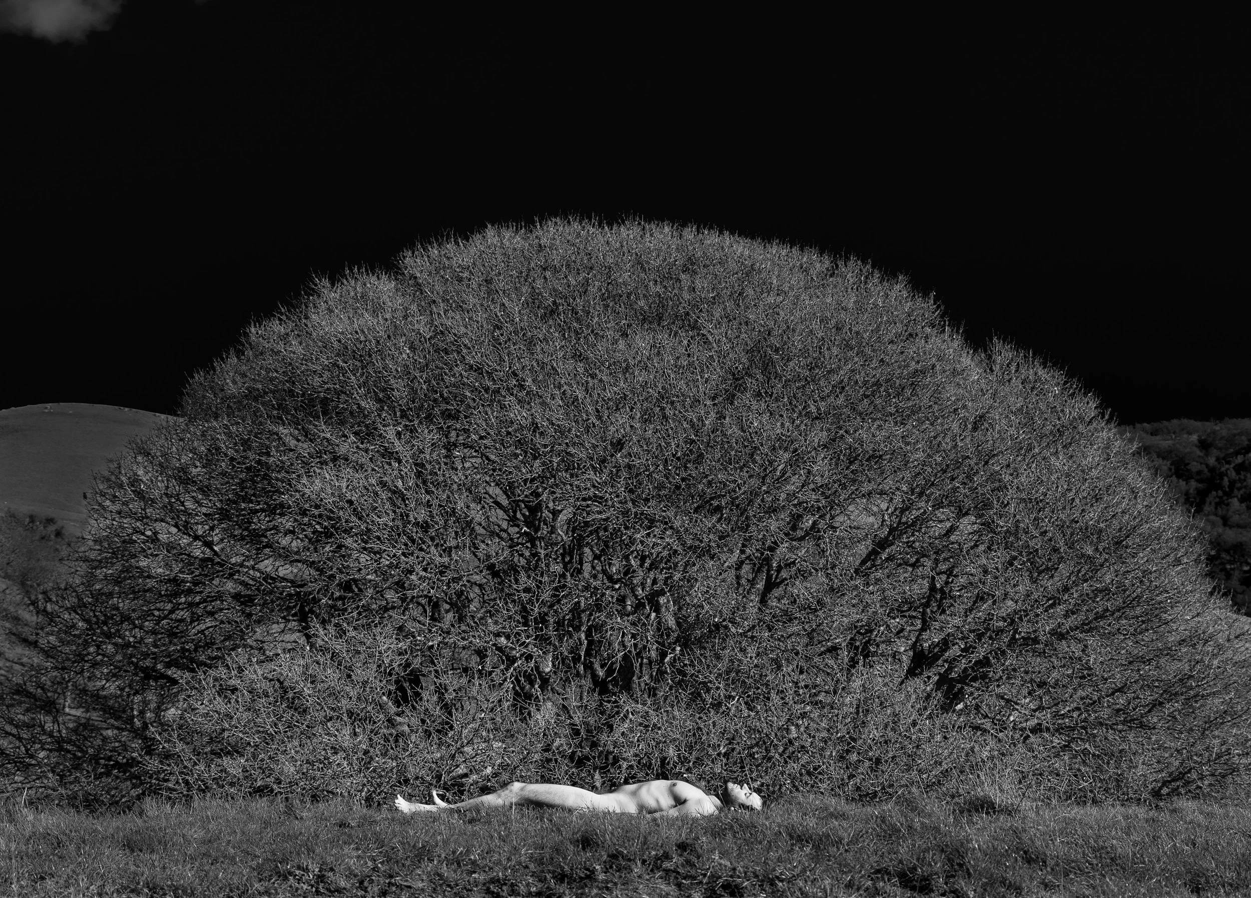untitled-_DSF9235.jpg