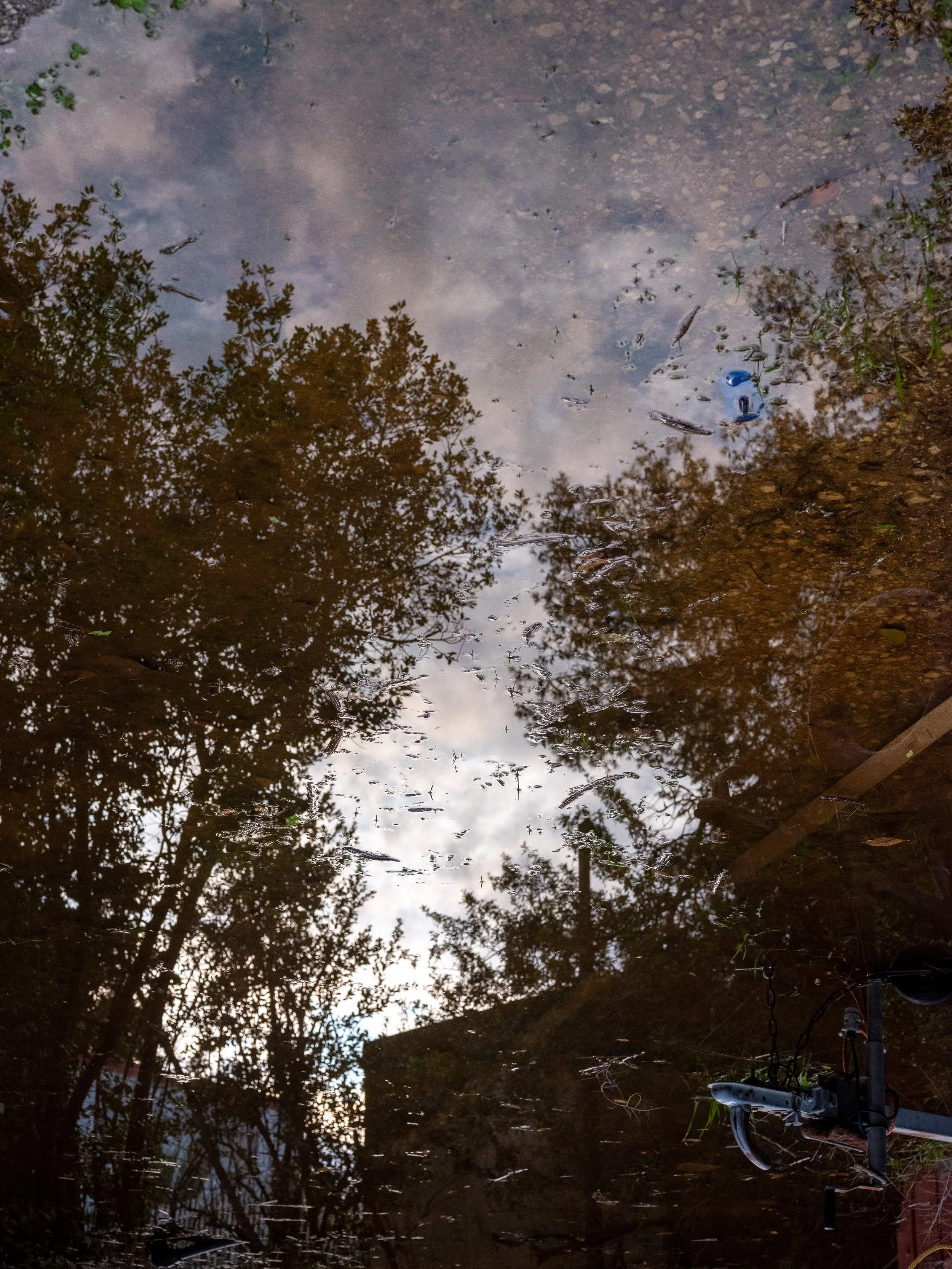 untitled-_DSF9098.jpg