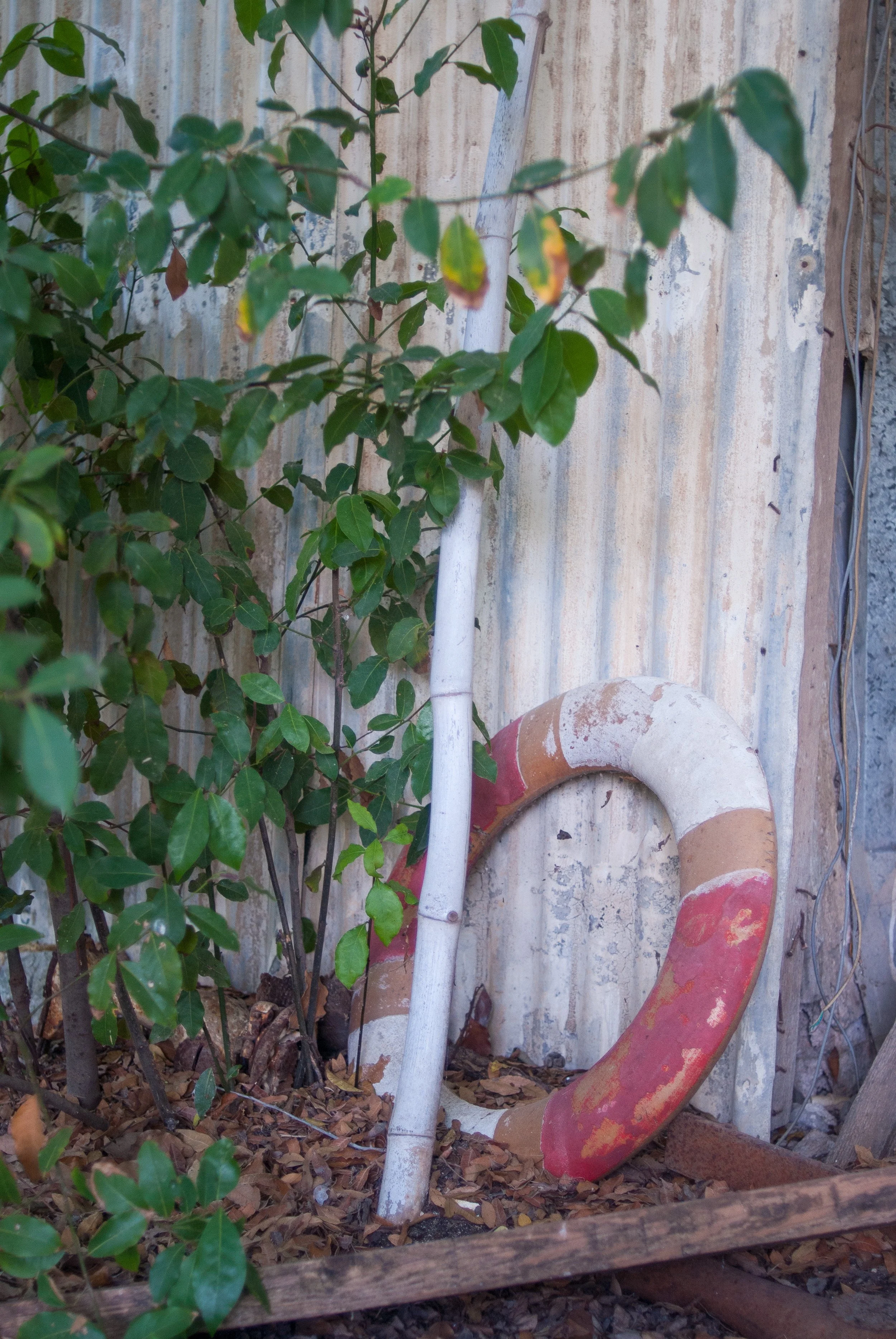 untitled-DSC_9116.jpg