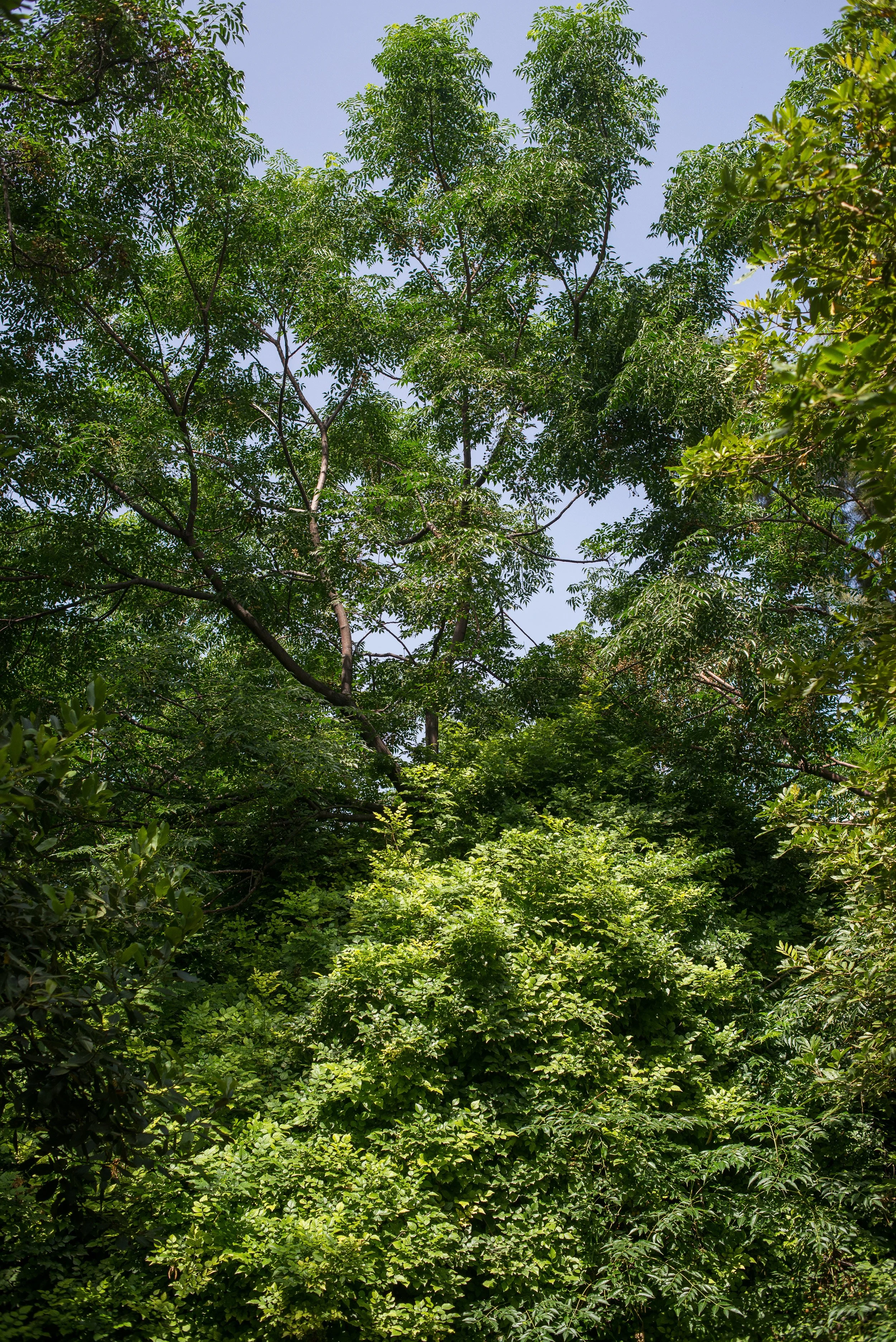 untitled-DSC_0502.jpg