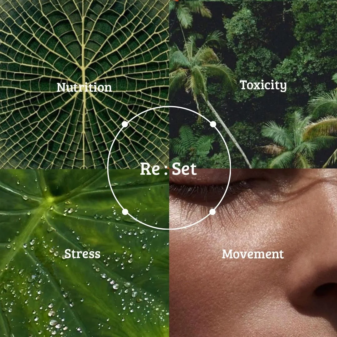 A collage divided into four quadrants with the words: Nutrition, Toxicity, Stress, and Movement. The top left shows a close-up of a leaf's intricate green vein pattern labeled 'Nutrition.' The top right features a bird's-eye view of a lush tropical forest labeled 'Toxicity.' The bottom left displays a green leaf with water droplets labeled 'Stress.' The bottom right depicts part of a person's face, focusing on the eye and skin, labeled 'Movement.'
