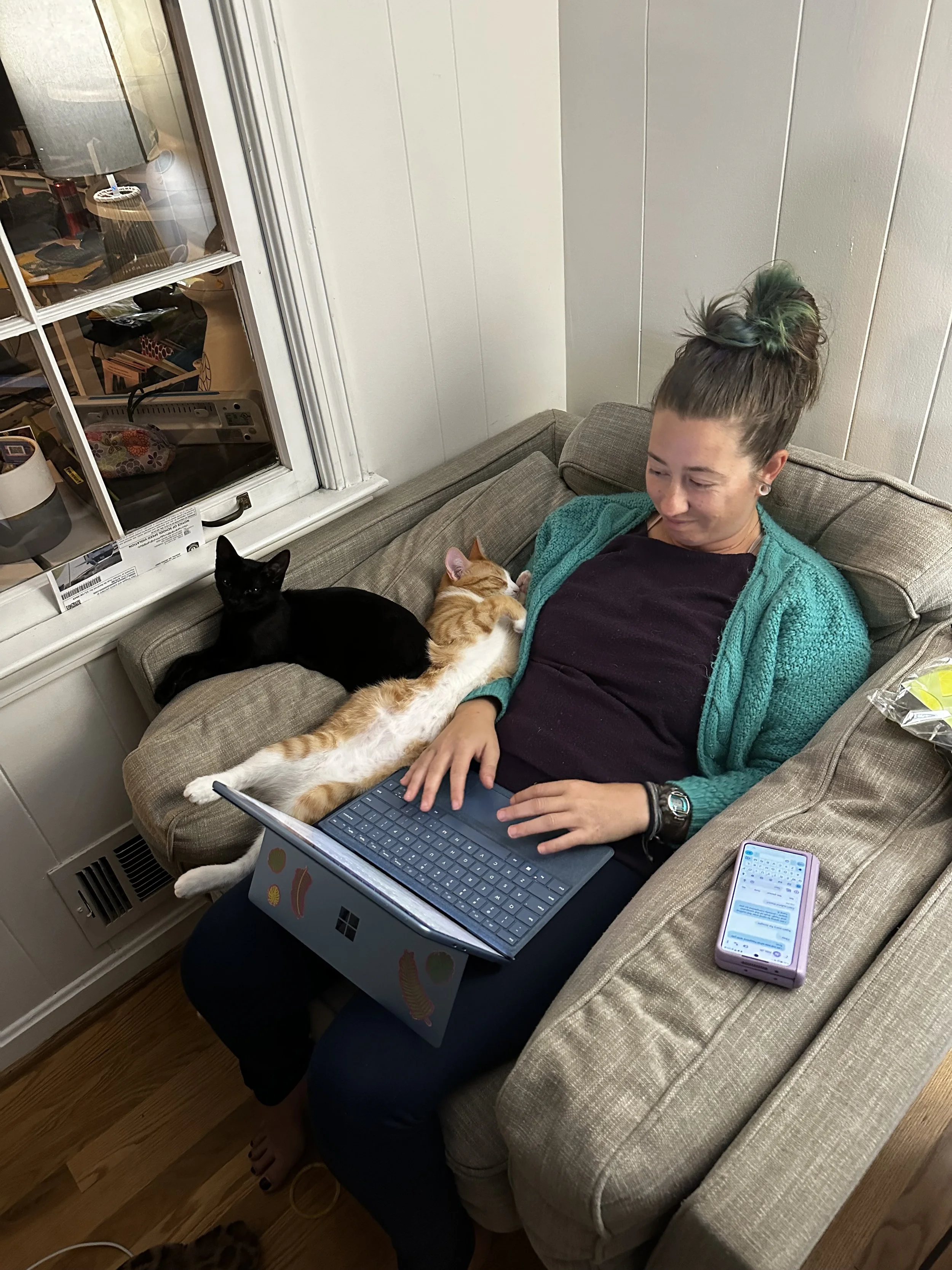 A woman with green hair in a bun is sitting on a beige couch, using a laptop on her lap, with two cats on her lap. One cat is black and the other orange and white. Next to her on the couch is a pink phone with messages on the screen. There is a window with a view of a cluttered room and a window air conditioner below it. The woman is smiling and wearing a teal sweater and black top.