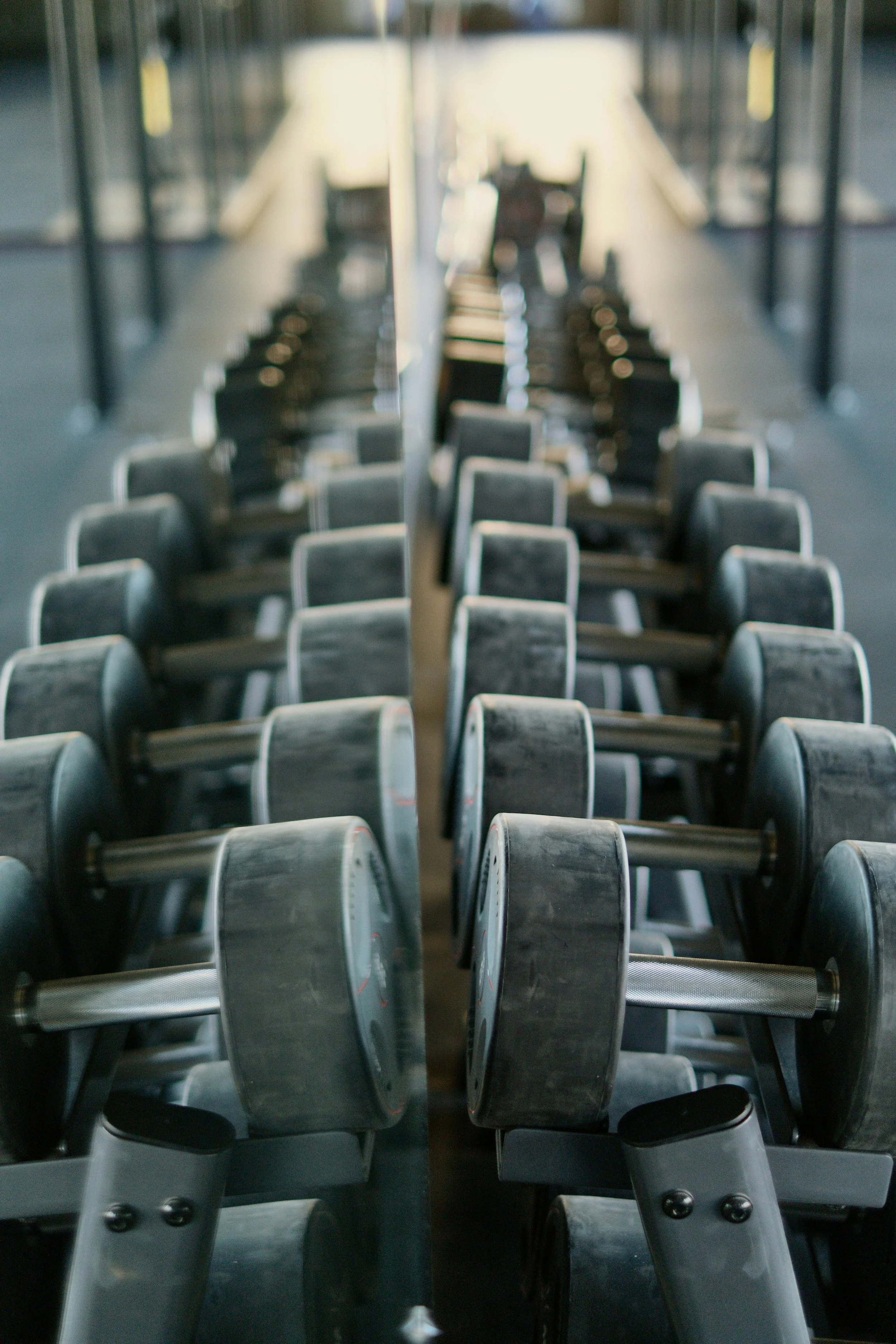 A line of dumbbells extending into the distance.