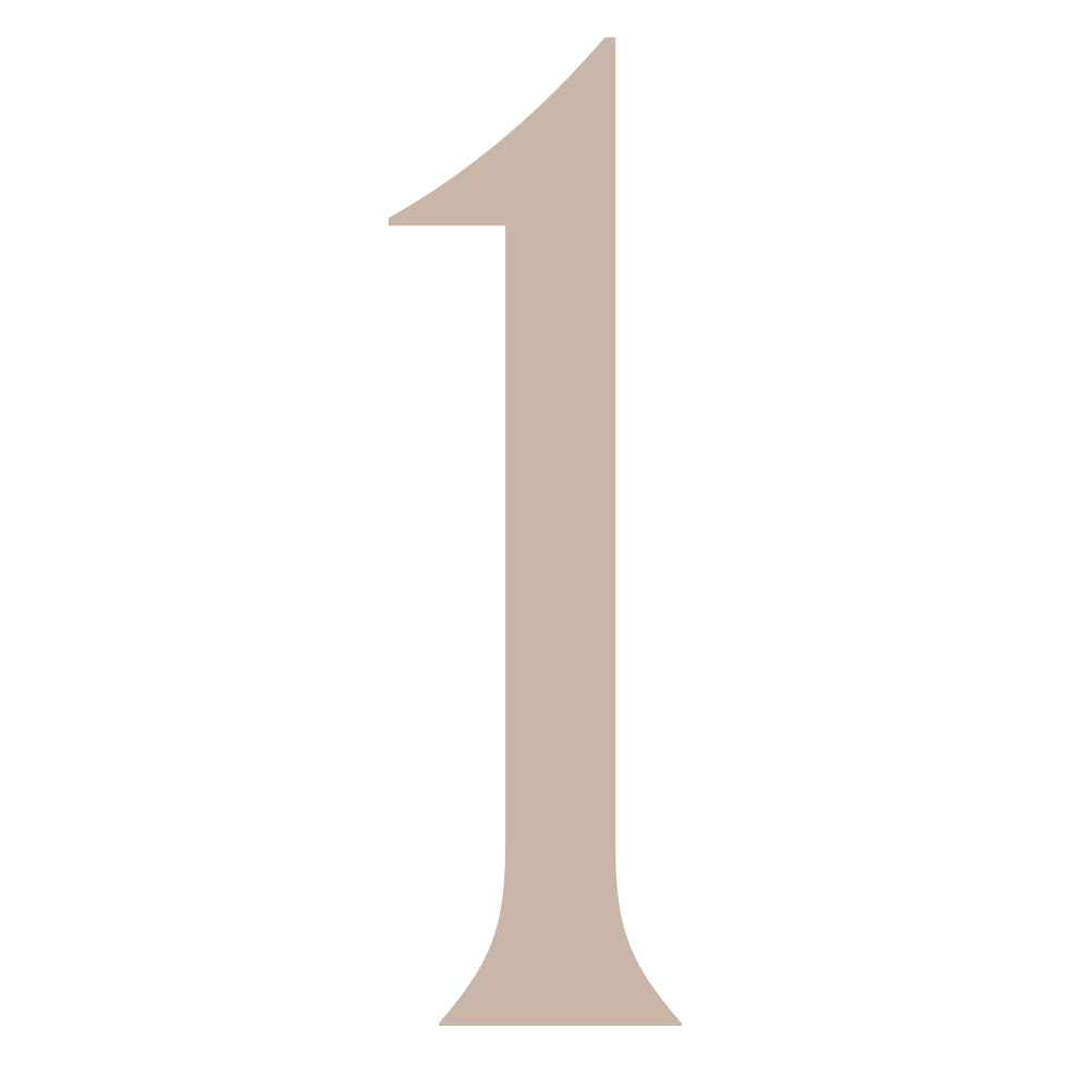 number one icon