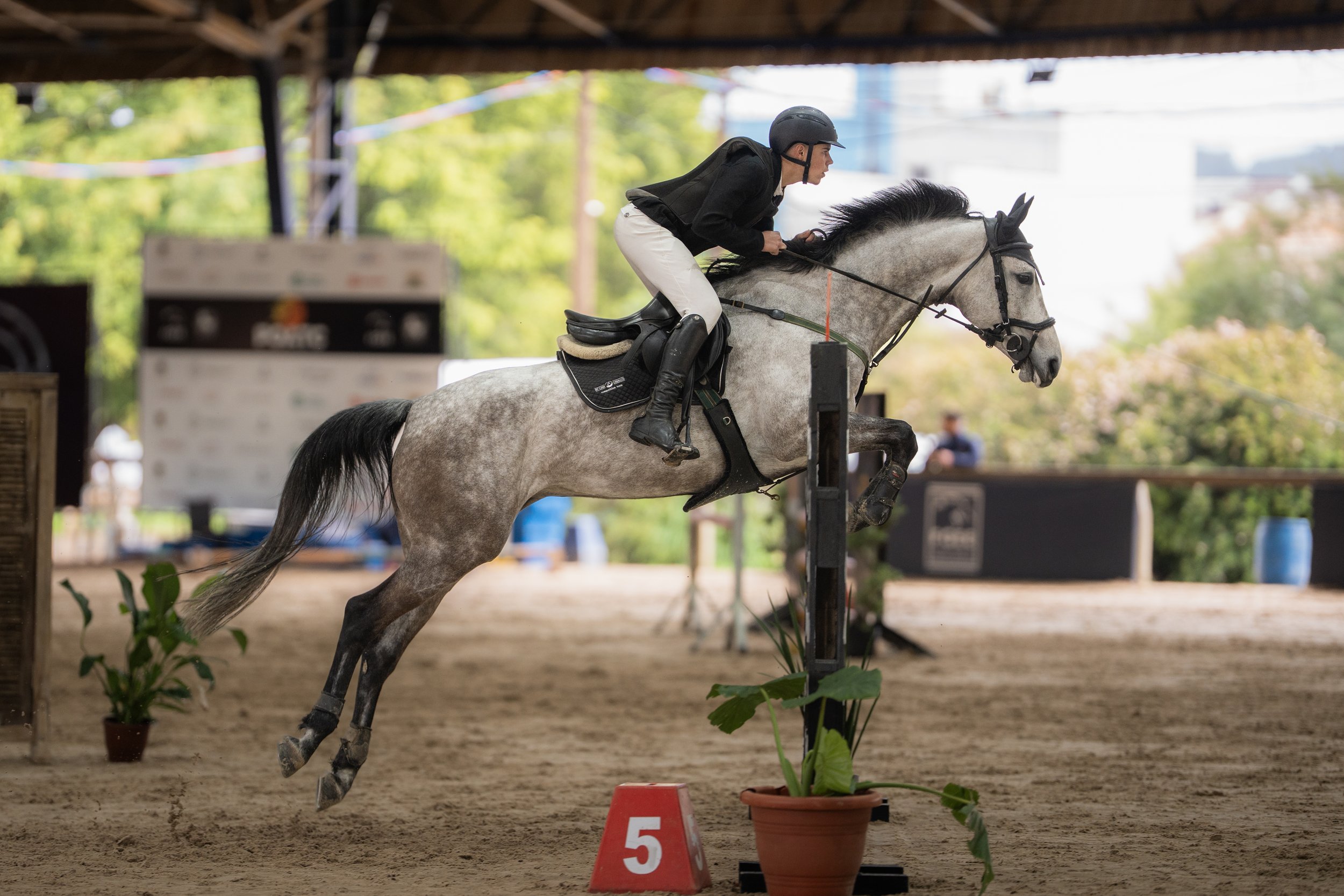 Concurso de Salto Nacional POA - Domingo - 16/08/26