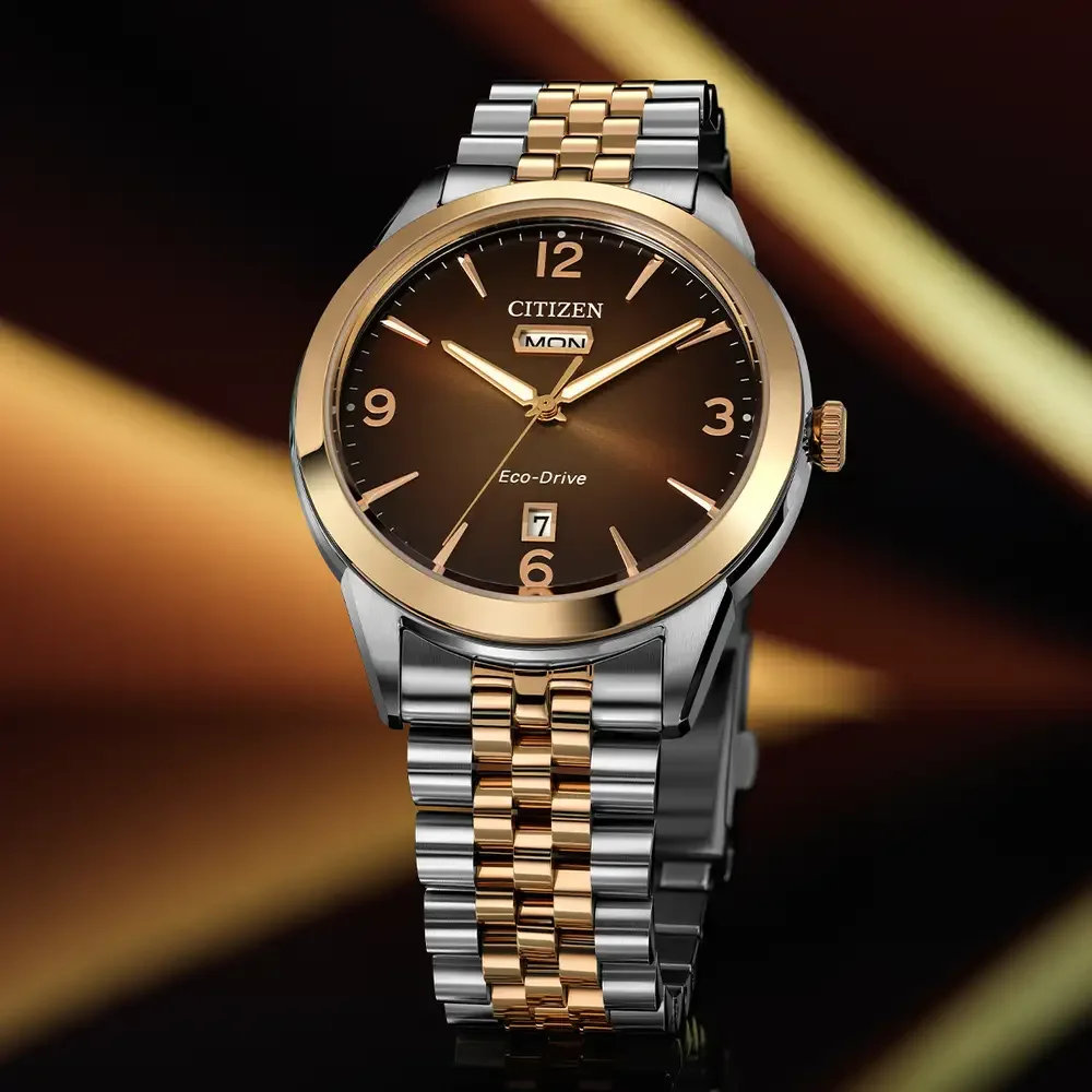 Rolan Watch Citizen