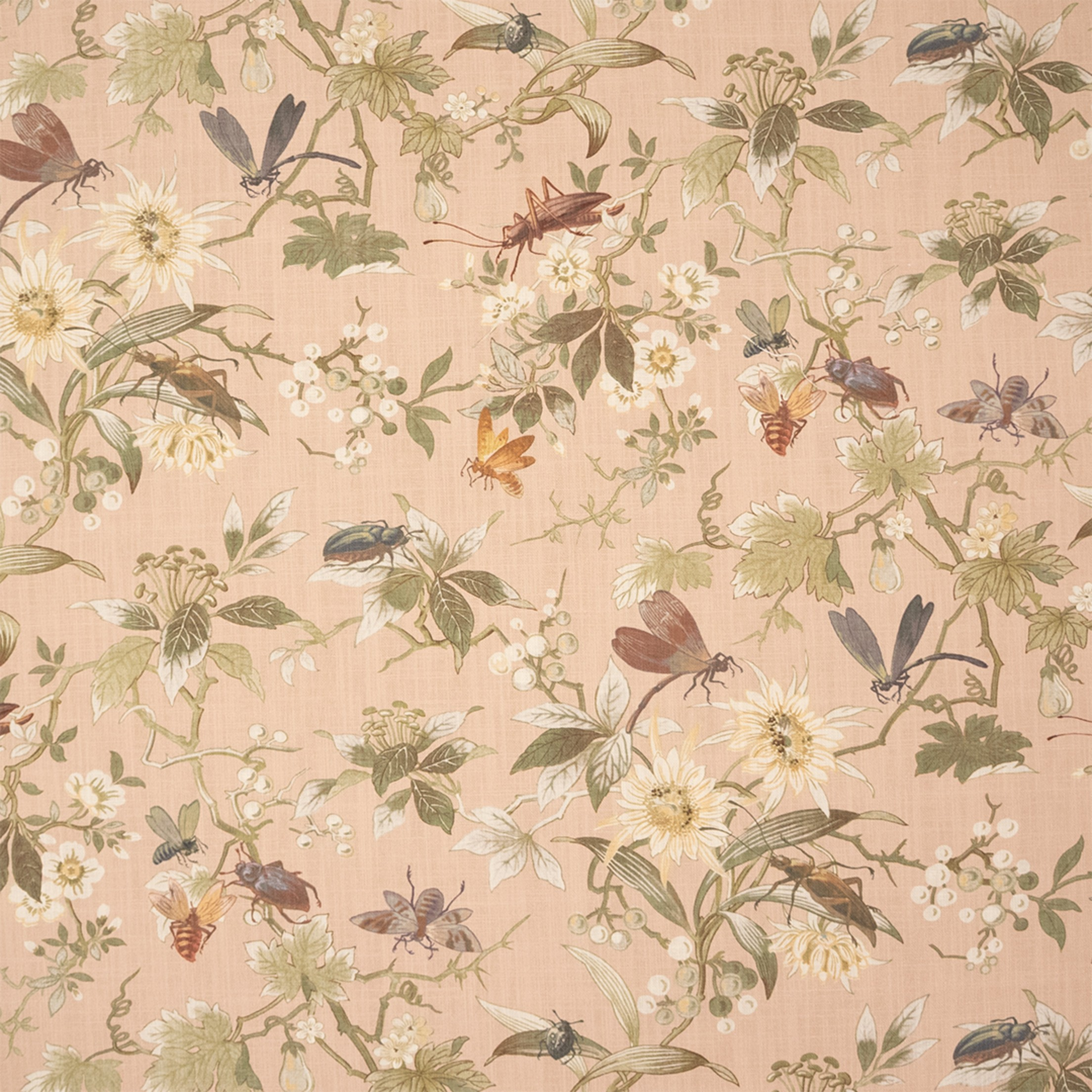 Spring Meadow Precocious