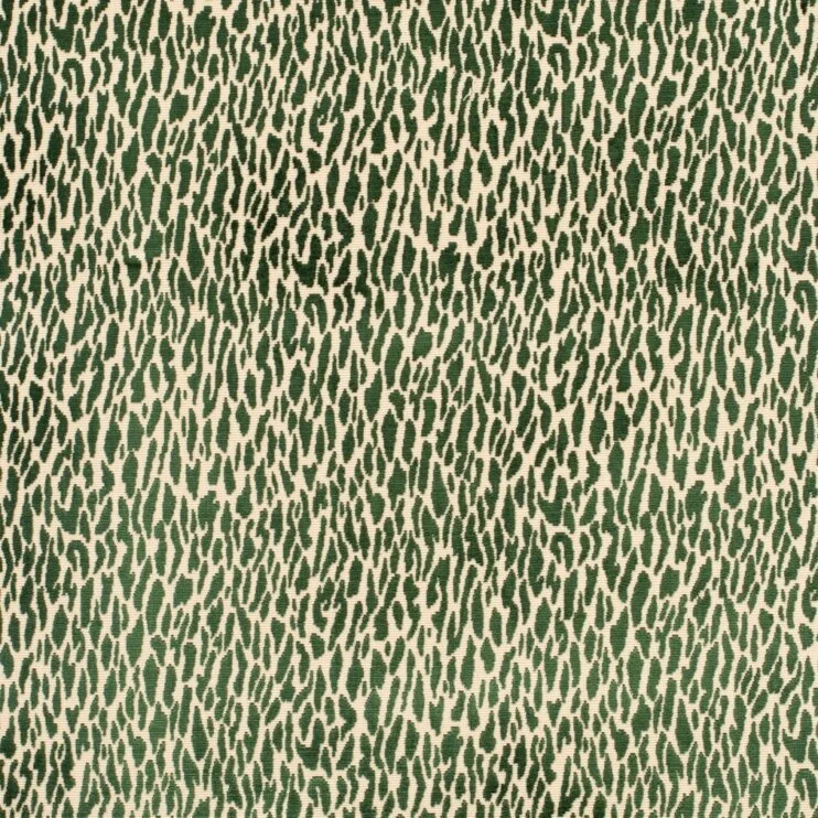 1000015138.jpg
