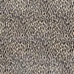 1000015140.jpg
