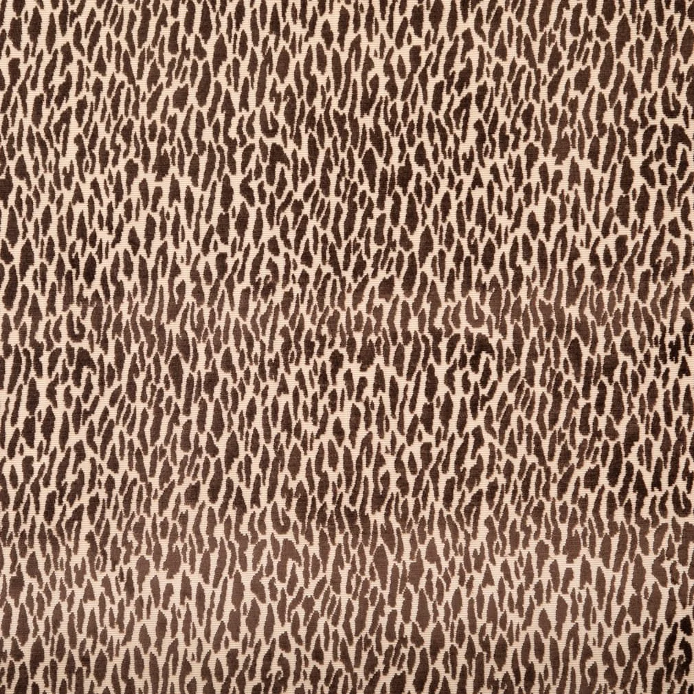 1000015137.jpg