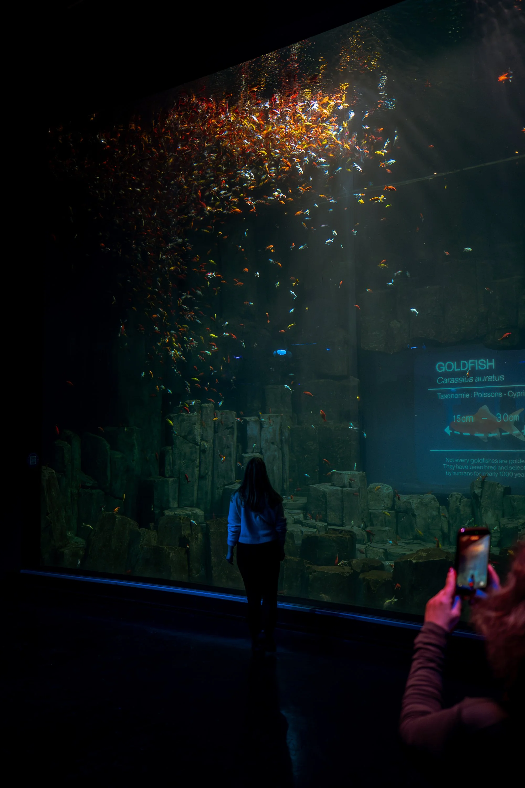 Aquarium de Paris | 2026