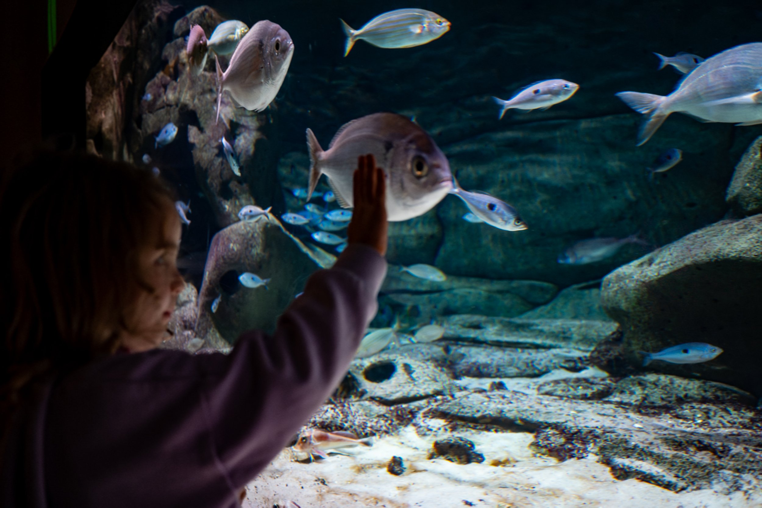 Aquarium de Paris | 2026