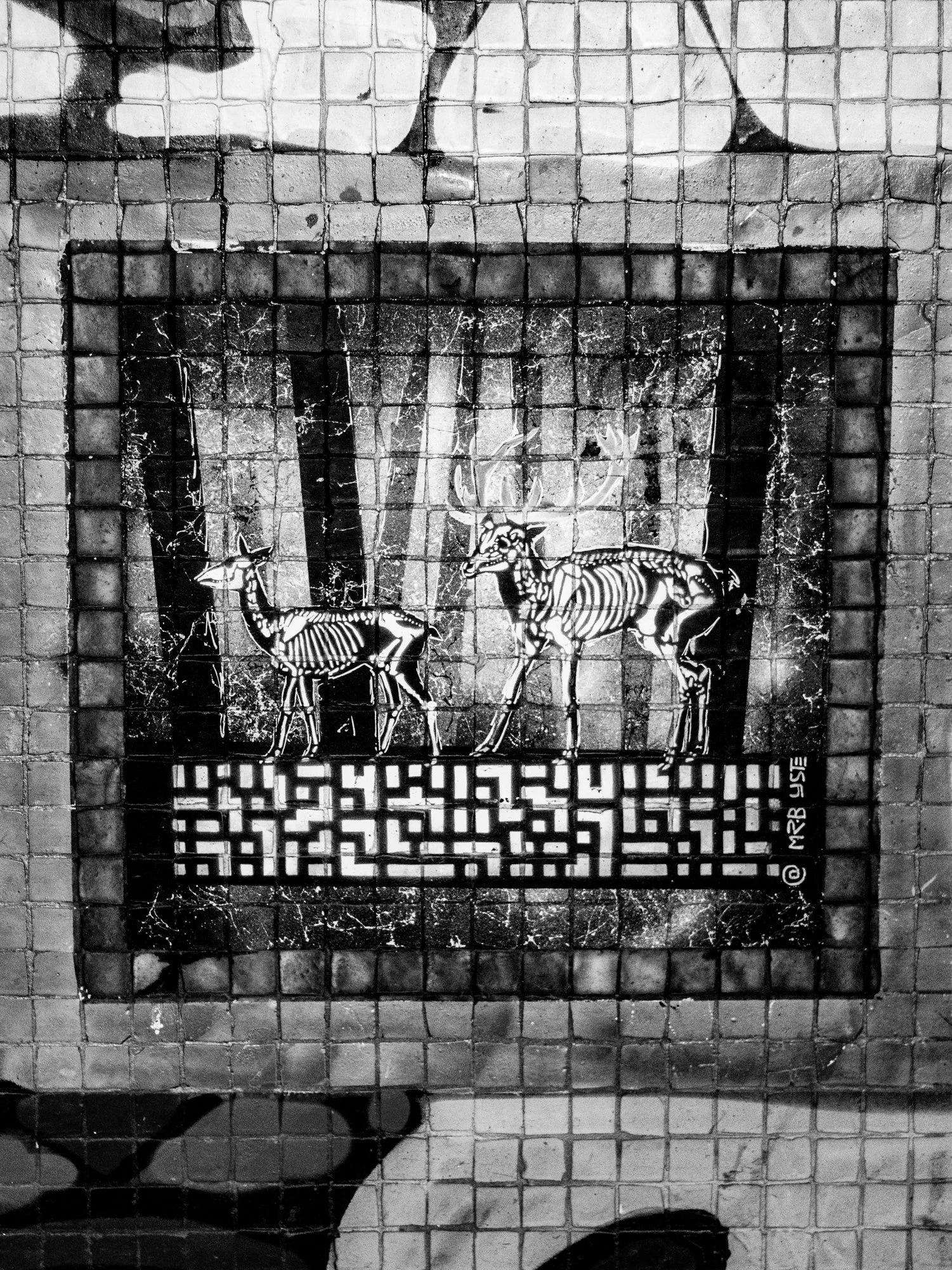 Black and white street art painted on a tiled wall. It depicts the faces of a man and a woman, with the man in the upper right and the woman's face in the upper left. Below, there are two zebras, one smaller than the other, standing on a grid pattern with some text or symbols underneath.