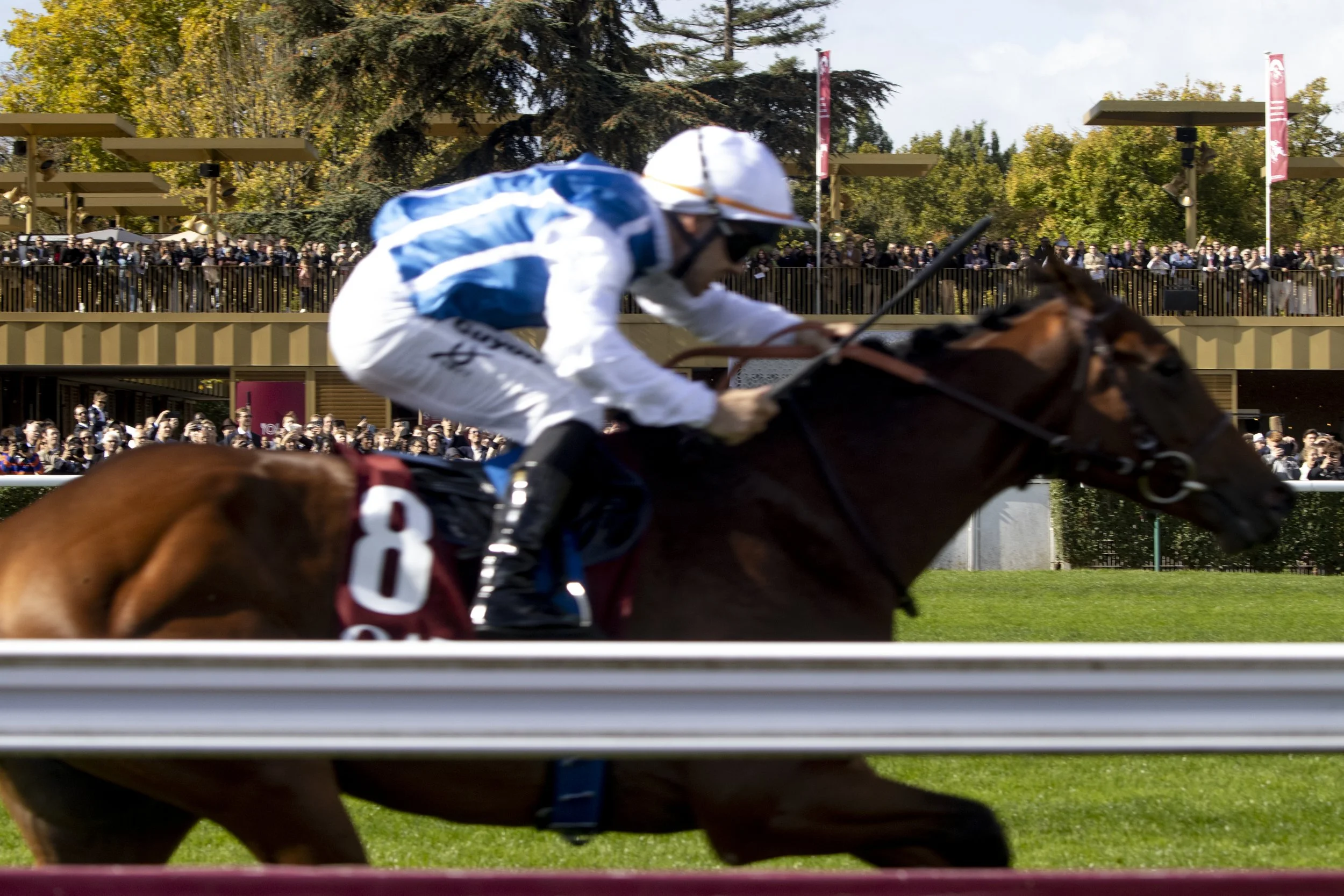 A jockey riding a racehorse during a horse race, with spectators in the background behind a rail and trees, the setting appears to be outdoors on a bright day.