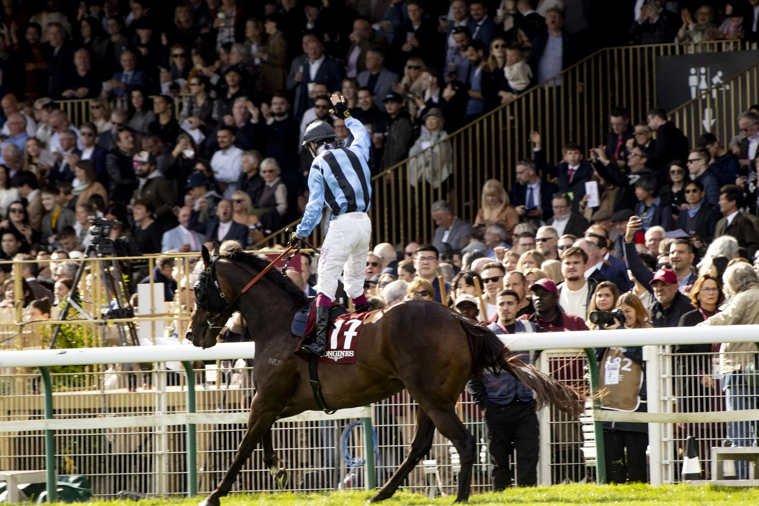 A jockey wearing a helmet and striped shirt riding a horse during a horse racing event with a large crowd watching from the stands.