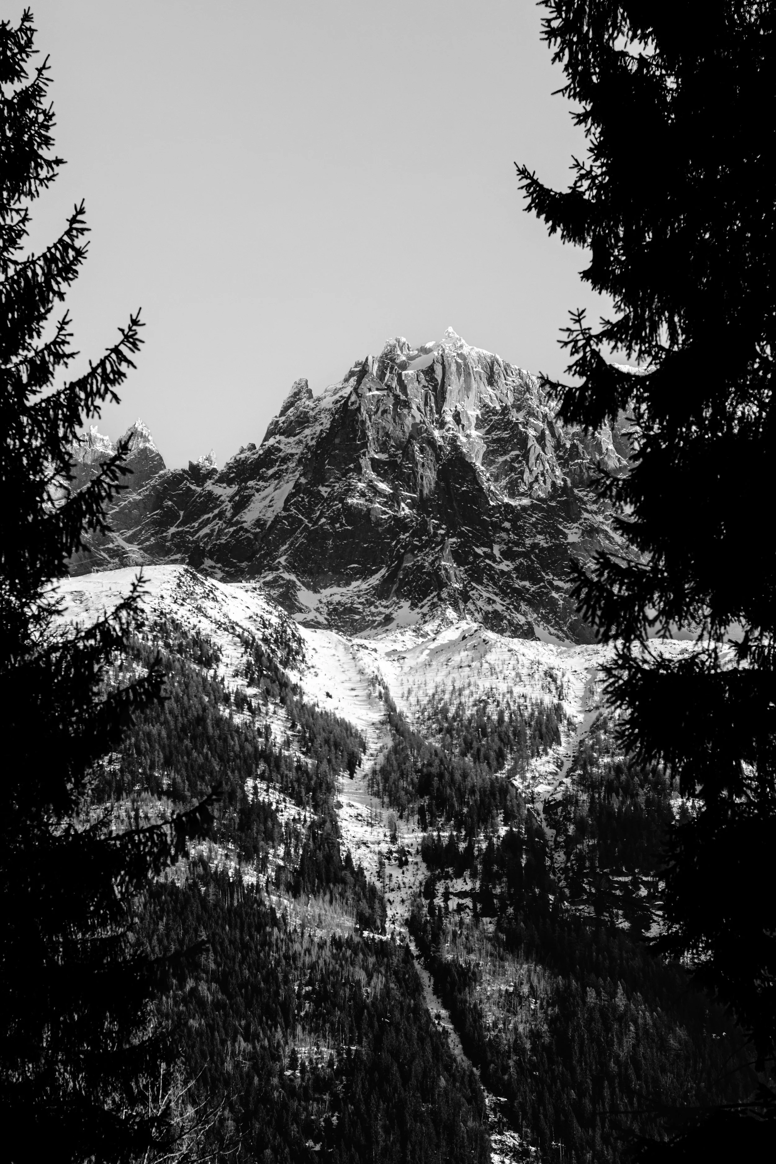 Snow-covered mountain peaks surrounded by pine trees, with snow on the ground in a forested valley.