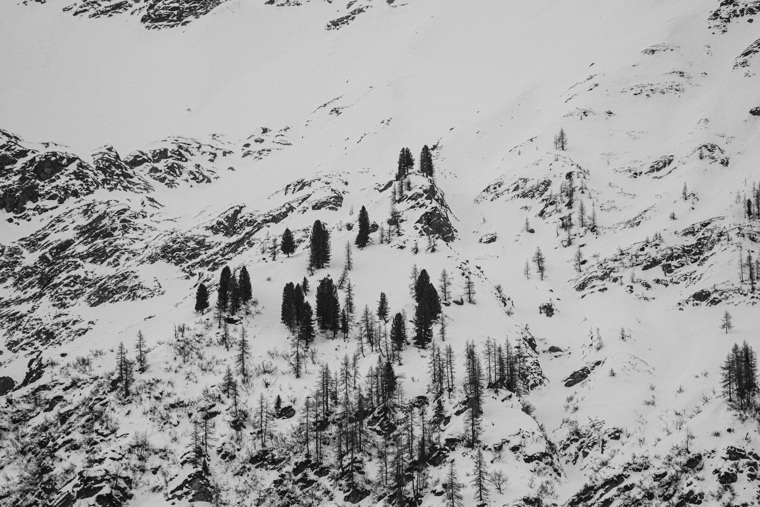 Snow-covered mountains with sparse trees and rocky outcroppings.