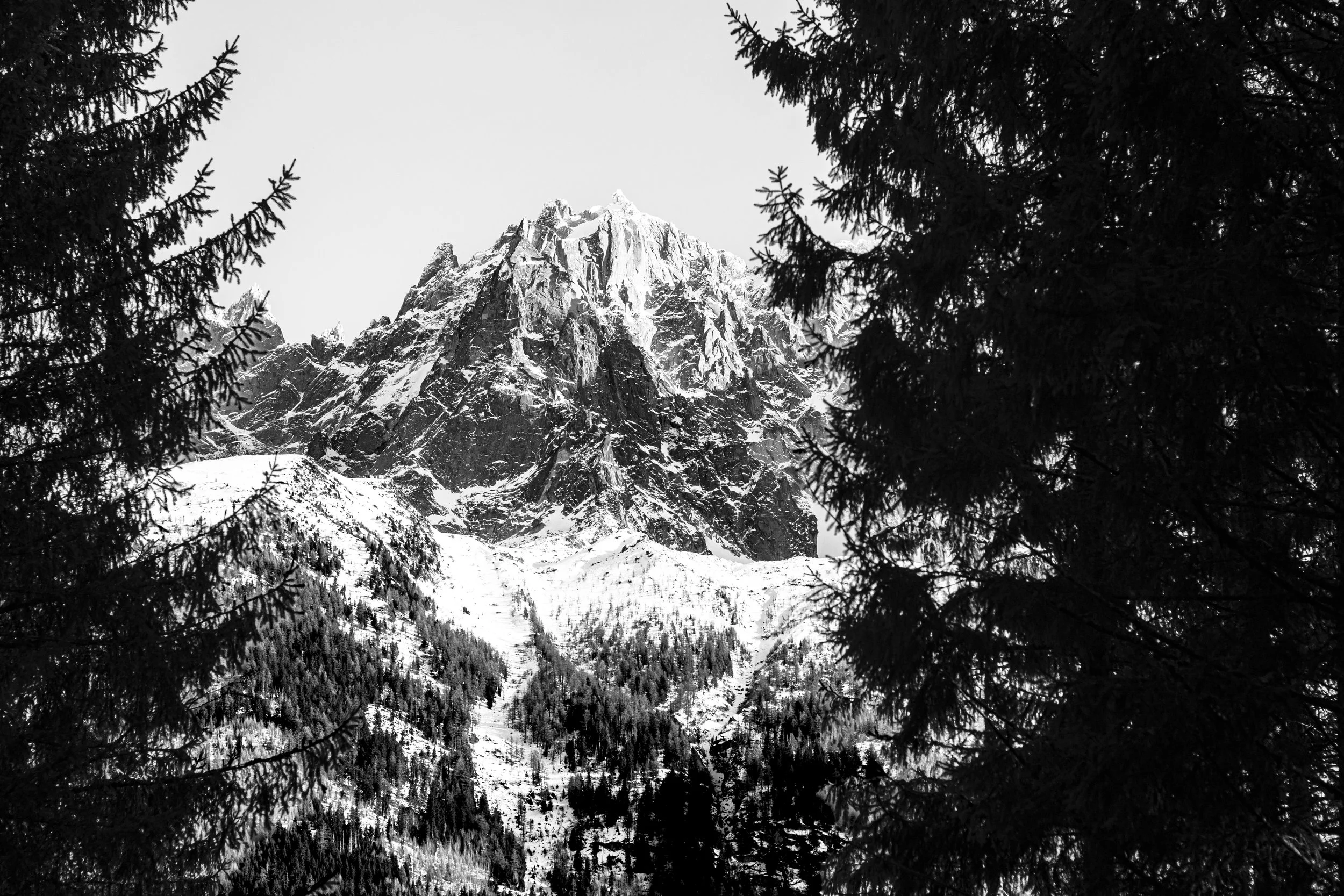 Black and white photograph of a snow-capped mountain framed by dark evergreen trees.