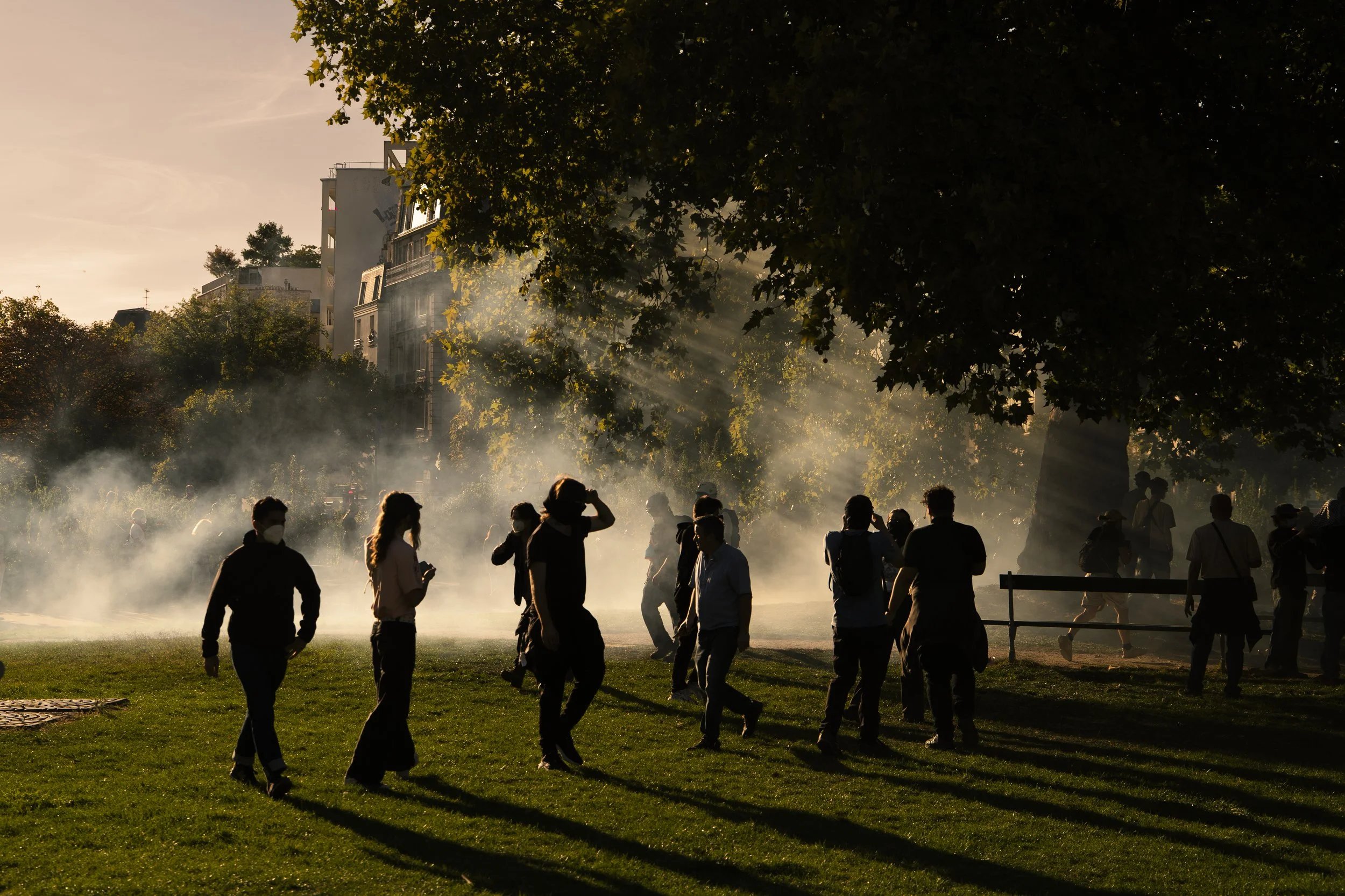 People gathering in a park during sunset with sunlight filtering through trees, creating long shadows and a smoky atmosphere.
