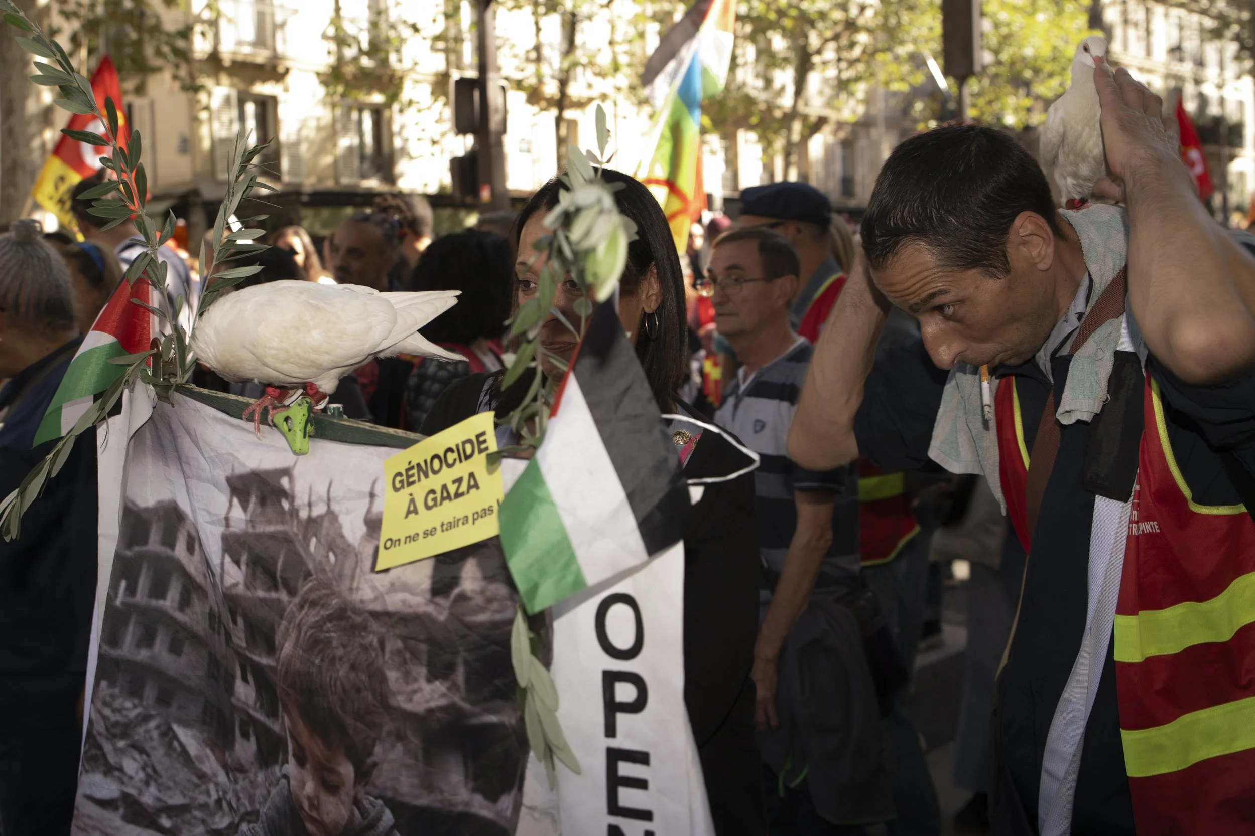 Crowd at protest with signs and flags, including a dove perched on a sign, in an urban setting with buildings and trees in the background.