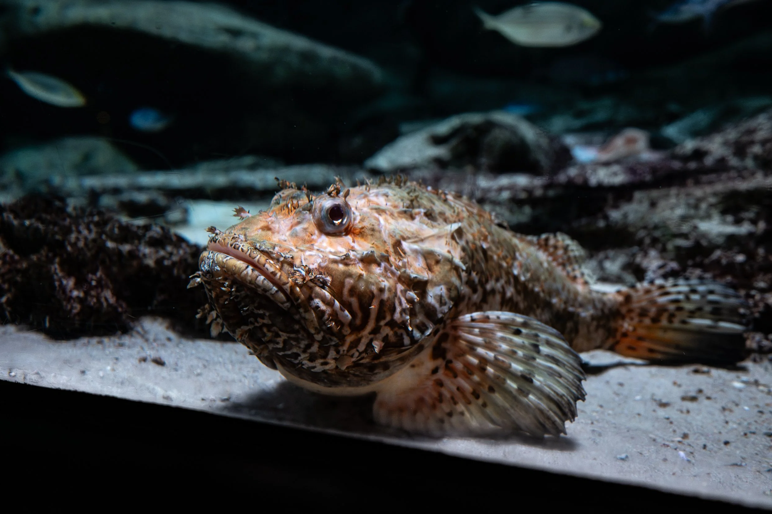 Aquarium de Paris | 2026