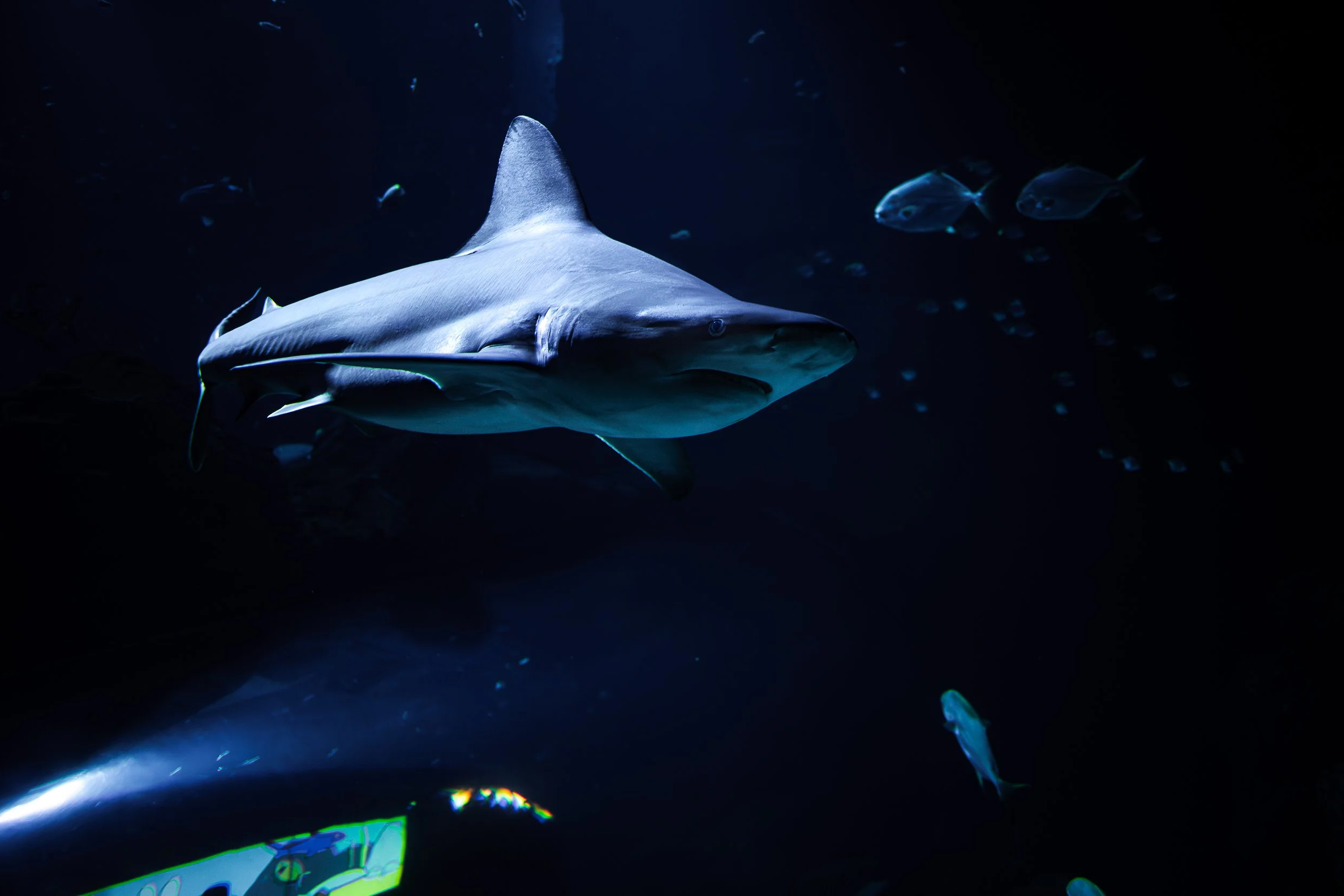 Aquarium de Paris | 2026