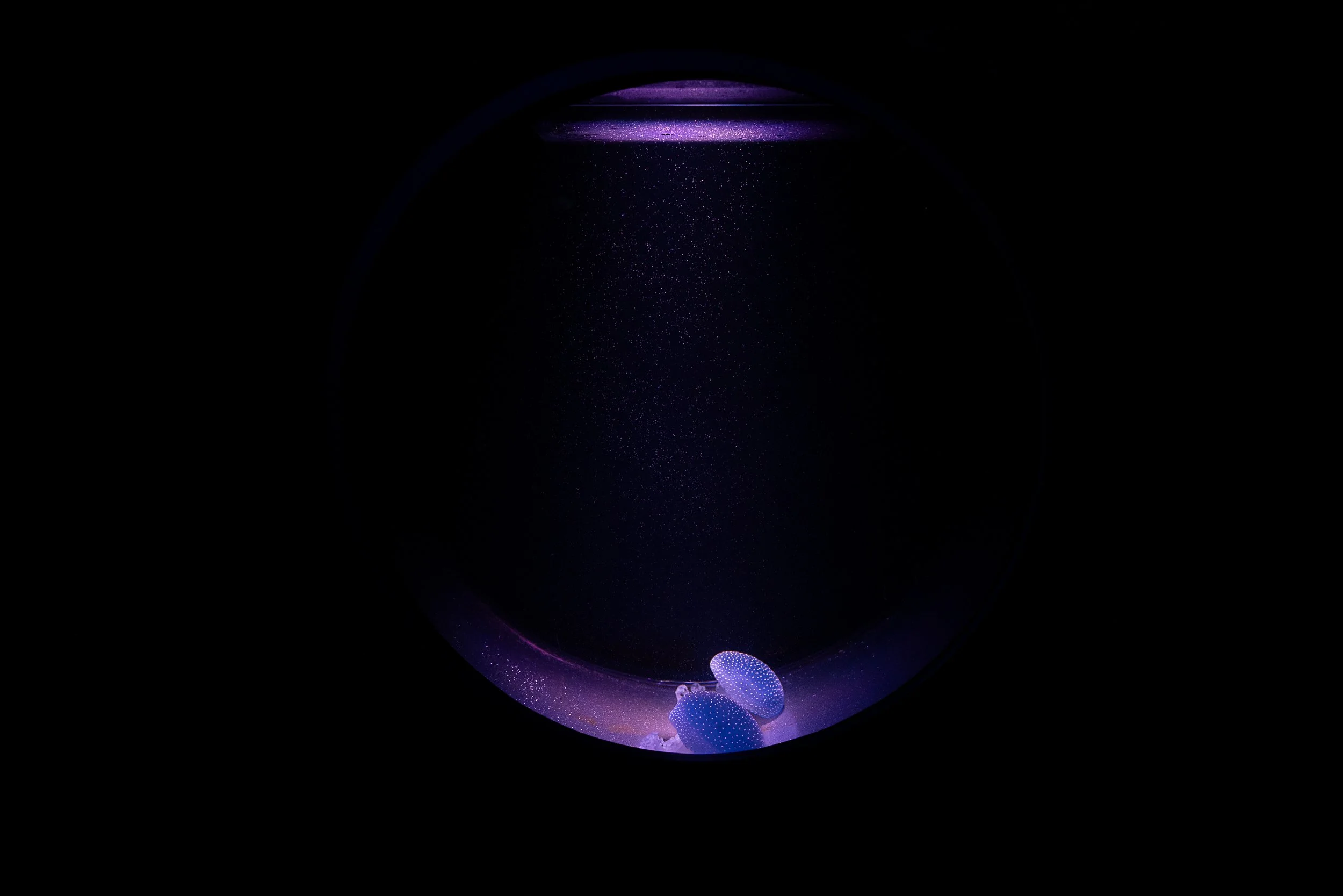 Aquarium de Paris | 2026