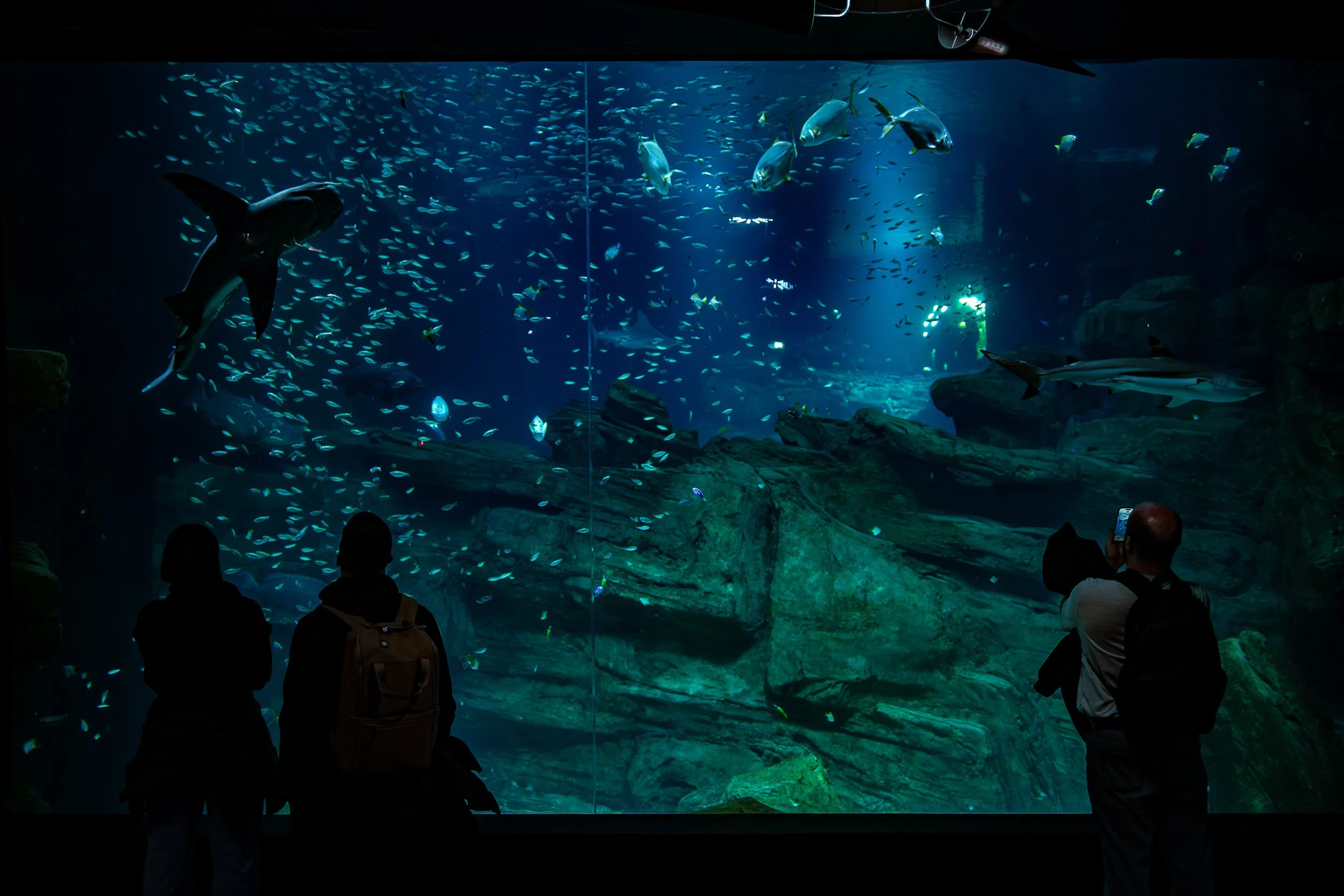 Aquarium de Paris | 2026