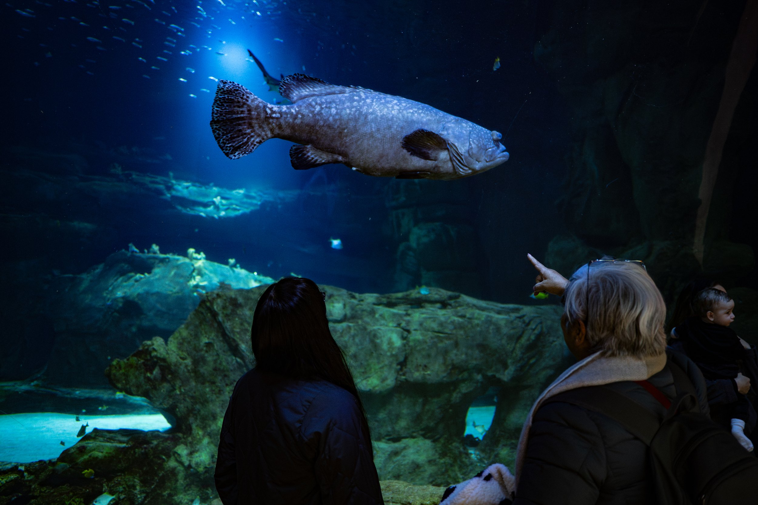 Aquarium de Paris | 2026