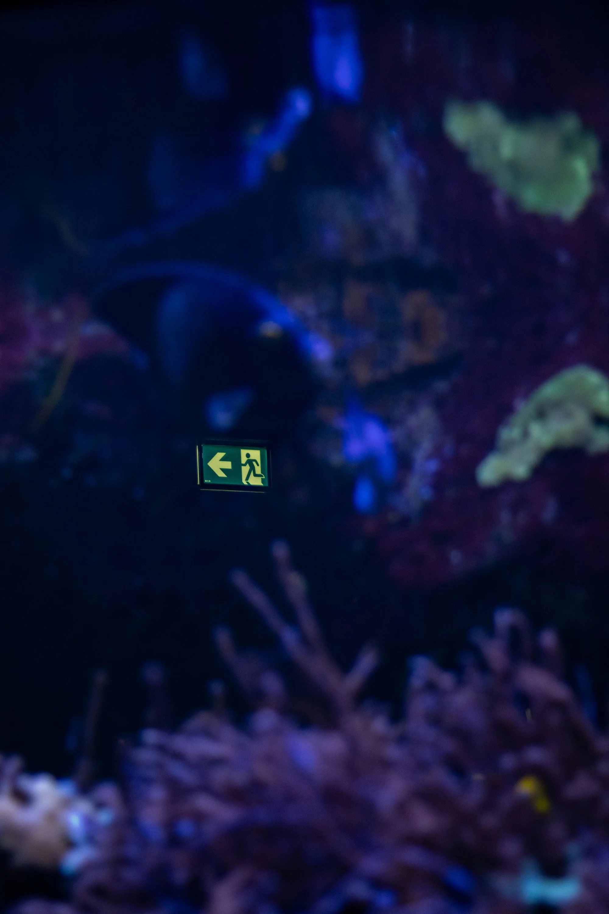 Aquarium Tropical | 2026