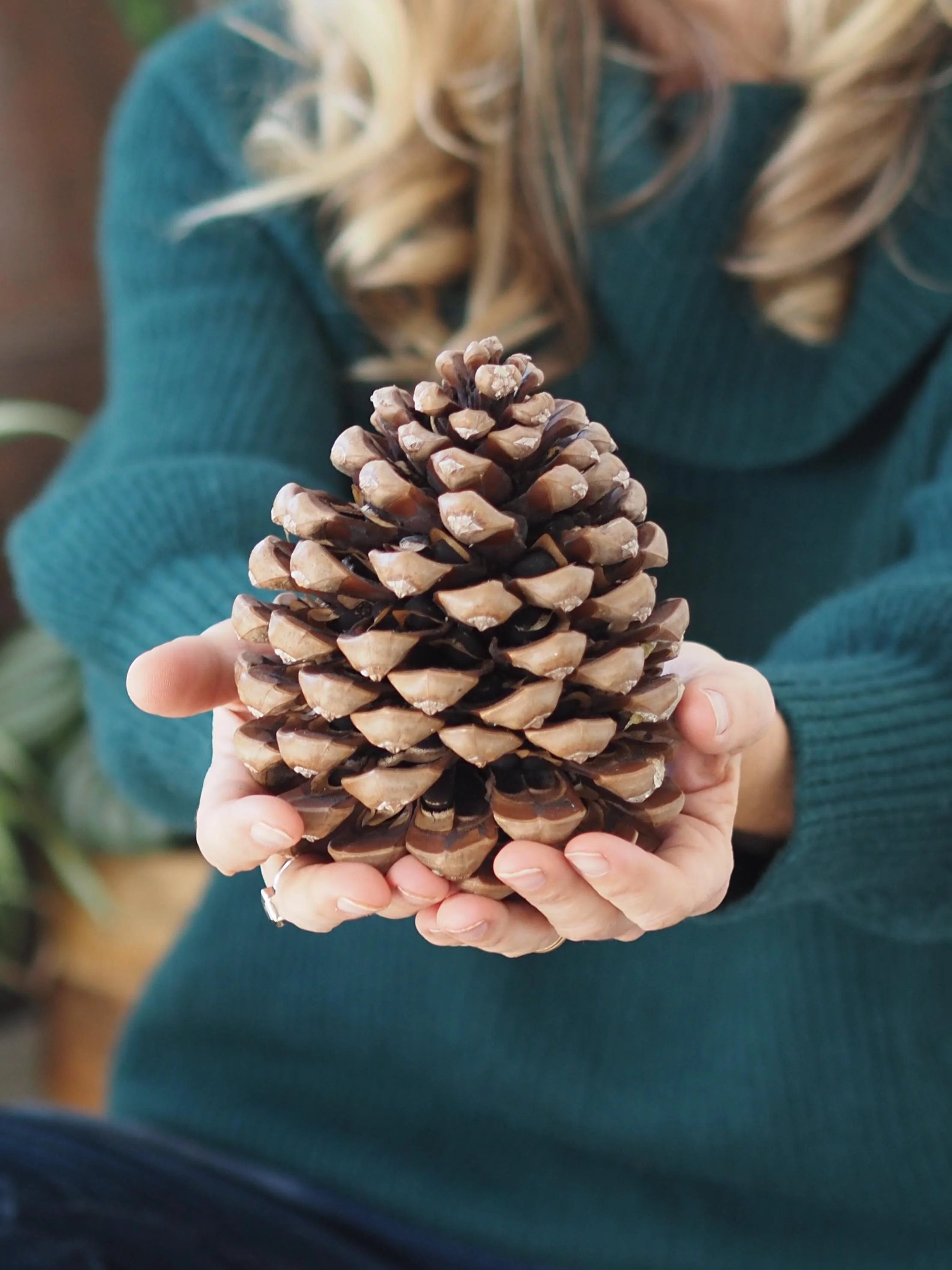 photo of a white woman with blond hair wearing a green jumper and holding a large pine cone