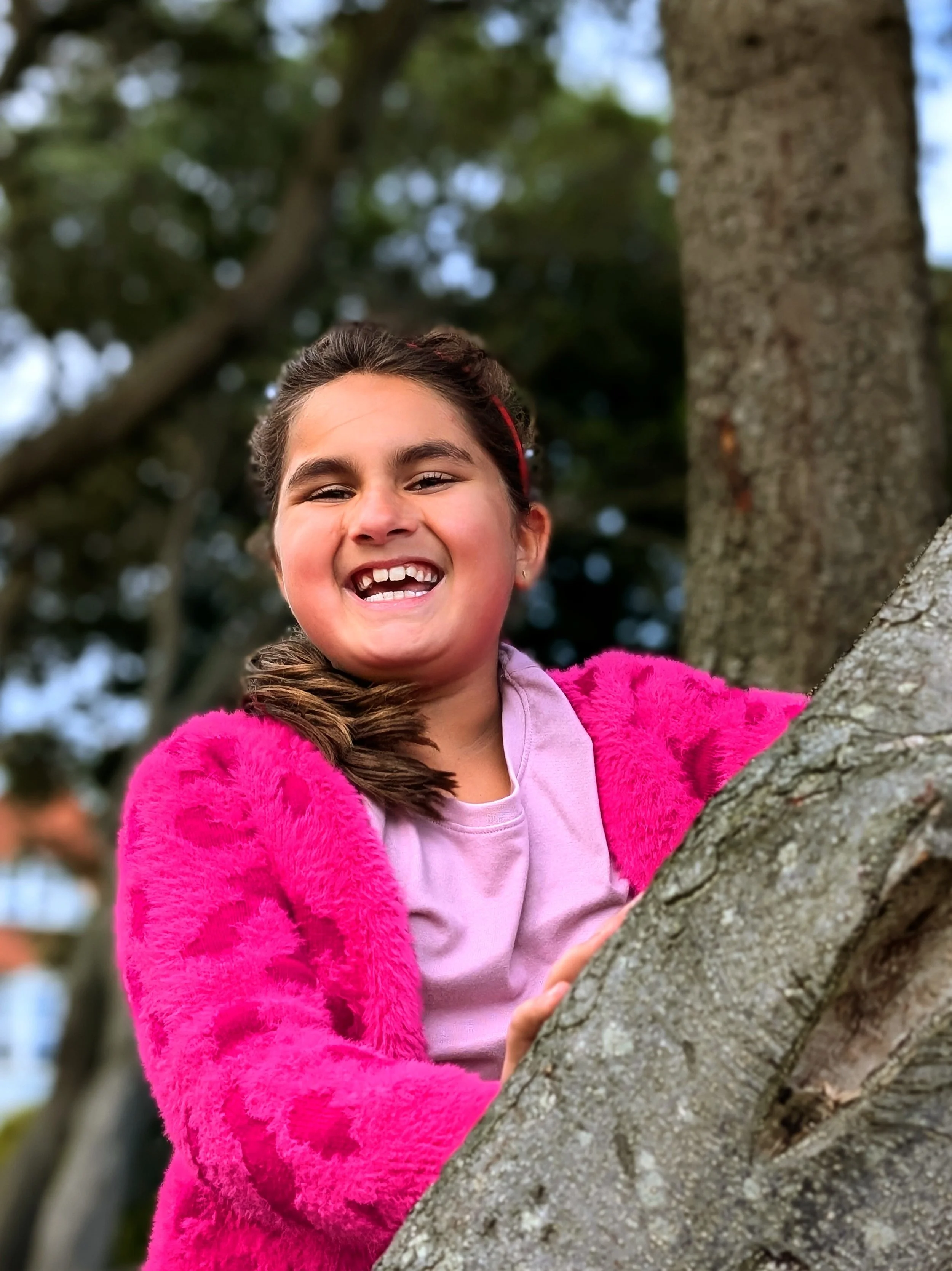 Willow Tree Colour.jpg