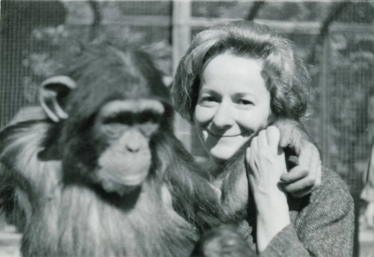 Wisława Szymborska inntar campus!

Hva vil det si &aring; &laquo;skrive seg fri&raquo; i et regime der en intellektuell l&oslash;srivelse ofte m&aring; foreg&aring; i det indre? Hvordan kan poesi utfordre spr&aring;k, makt og etablerte sannheter?

Ko