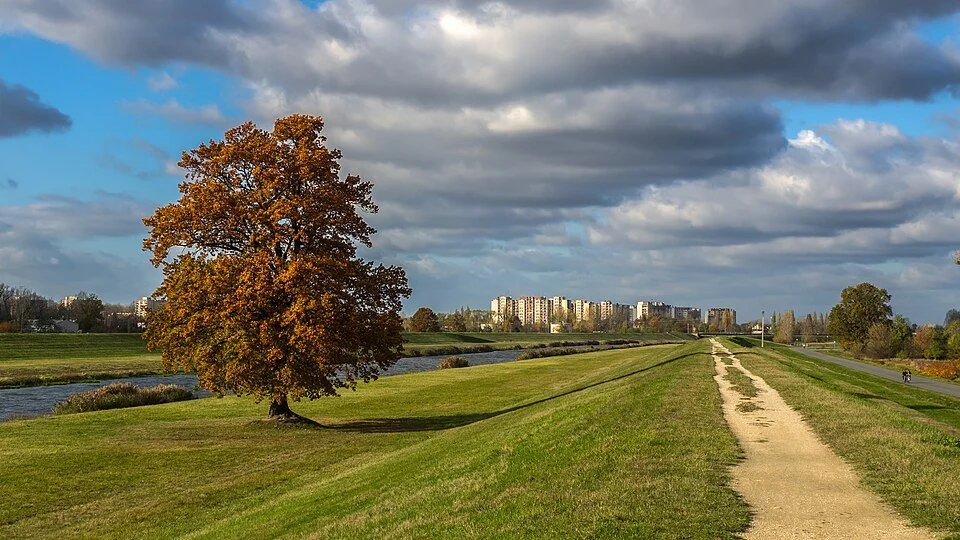 Høstlandskap ved elven i Opole, Polen.