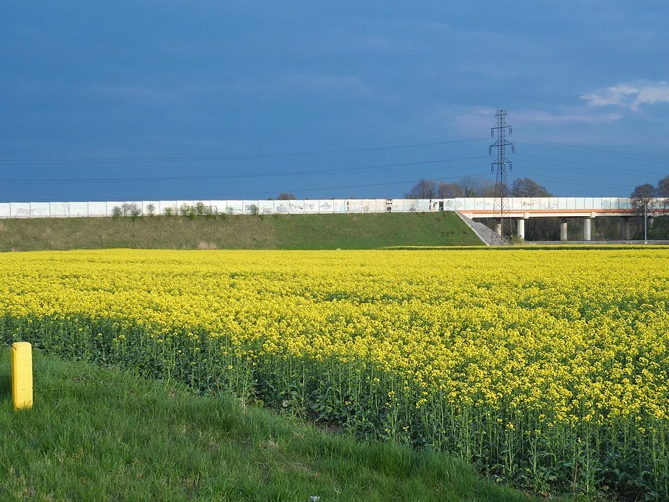 Blomstermark i Opole, Polen