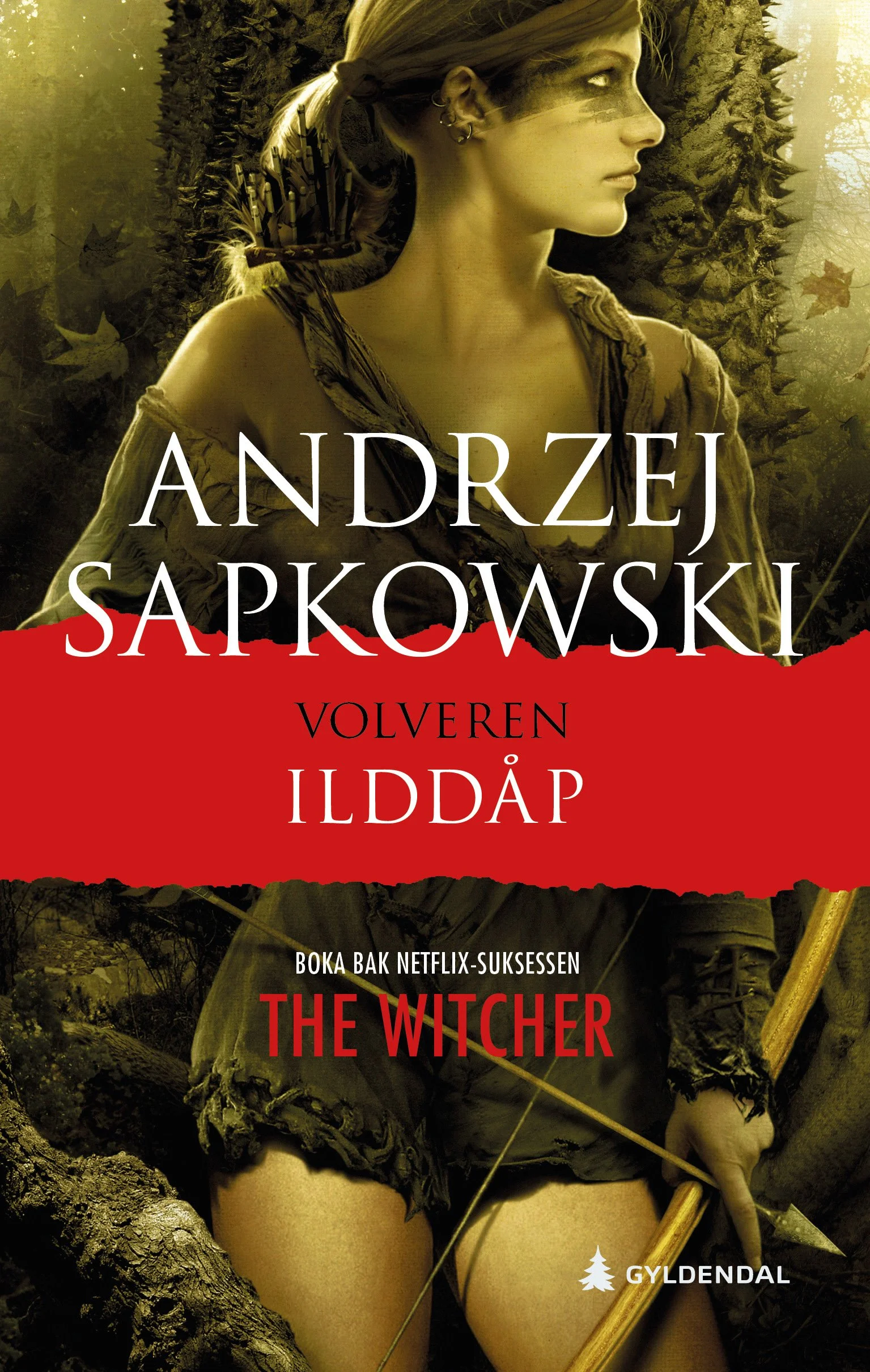 Bokomslag: Ilddåp av Andrzej Sapkowski, Gyldendal