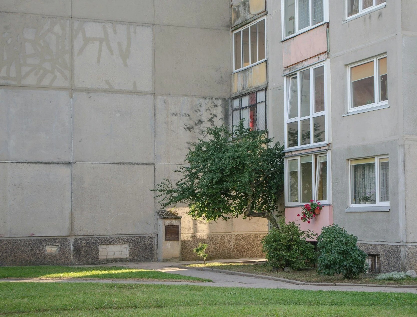 Apartment building with multiple windows, a tree with green foliage, flower boxes, and a sidewalk on a grassy area.