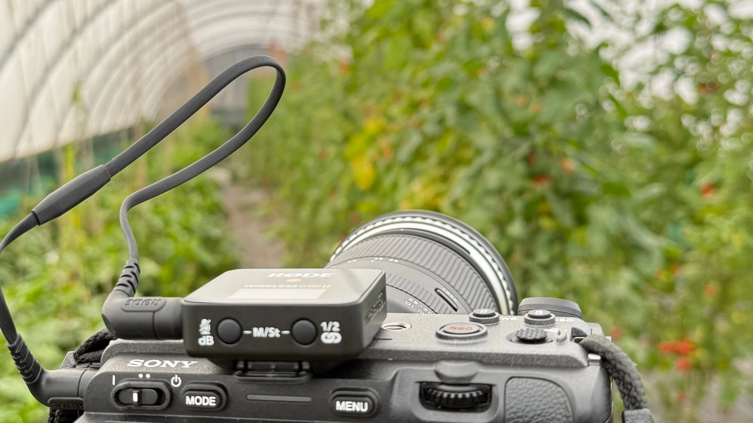 camera set up in a greenhouse
