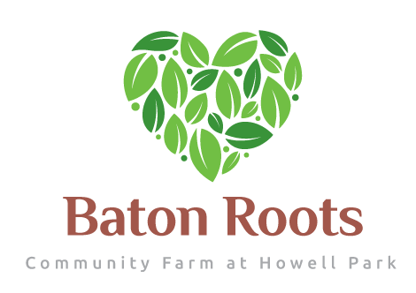 Baton Roots Logo.png