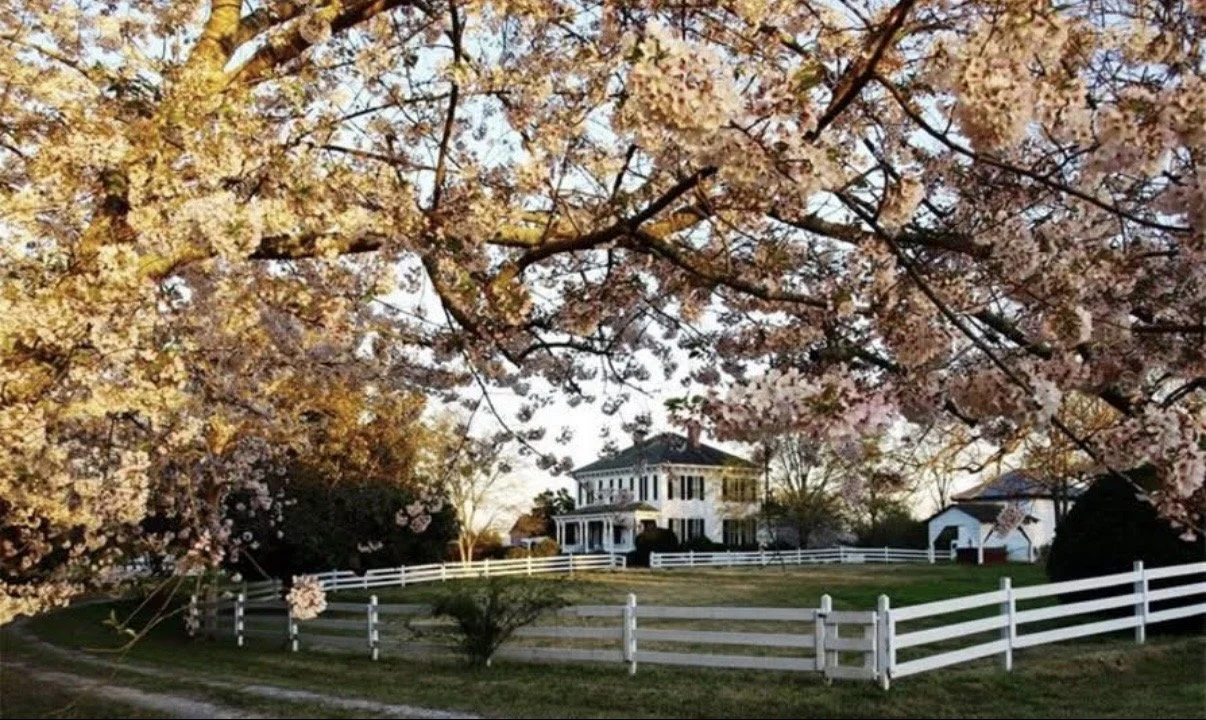 Tour, Taste &amp; Plan: A Wedding Experience at Historic Brookfield 