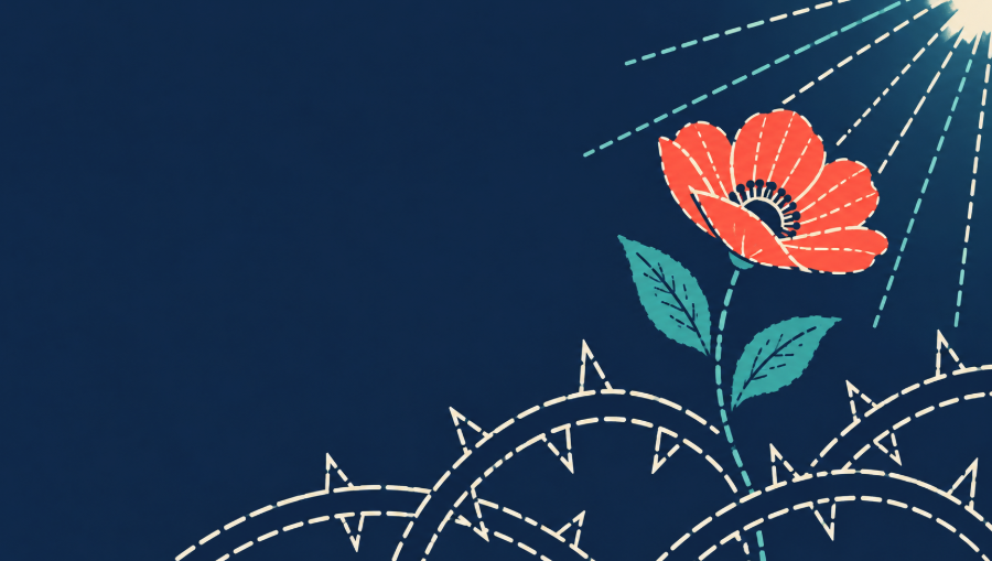 Illustration of a red flower growing up through barbed wire toward the light