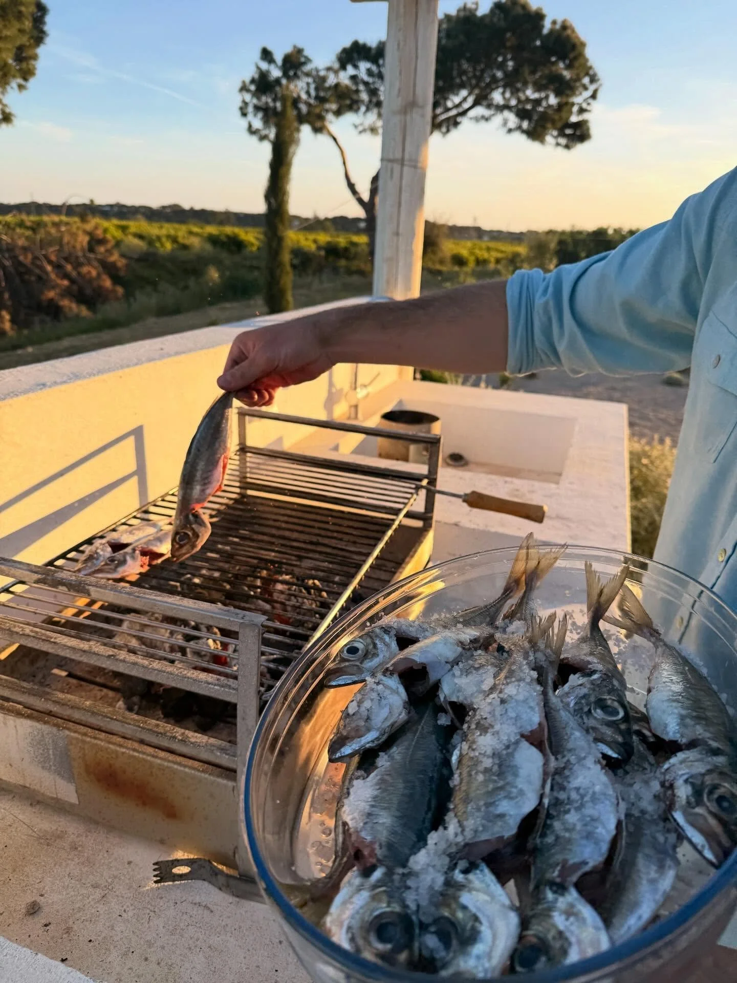 We&rsquo;re lucky to be just a stone&rsquo;s throw from one of Portugal&rsquo;s most magnificent coasts &mdash; which means there&rsquo;s always plenty of fish in the sea, and of course, the very best fish markets.

With our barbecue in view and a gl
